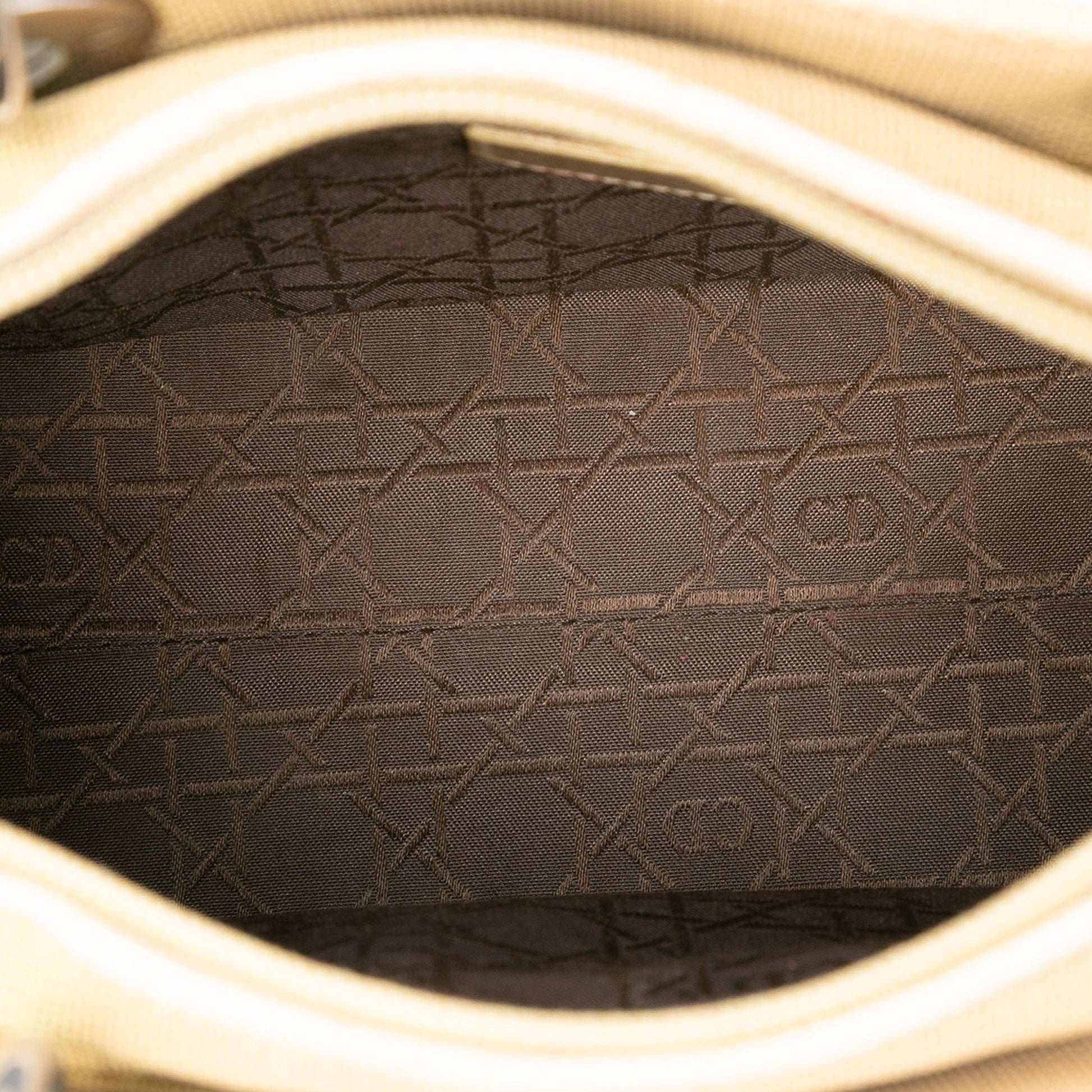 Medium Canvas Lady Dior