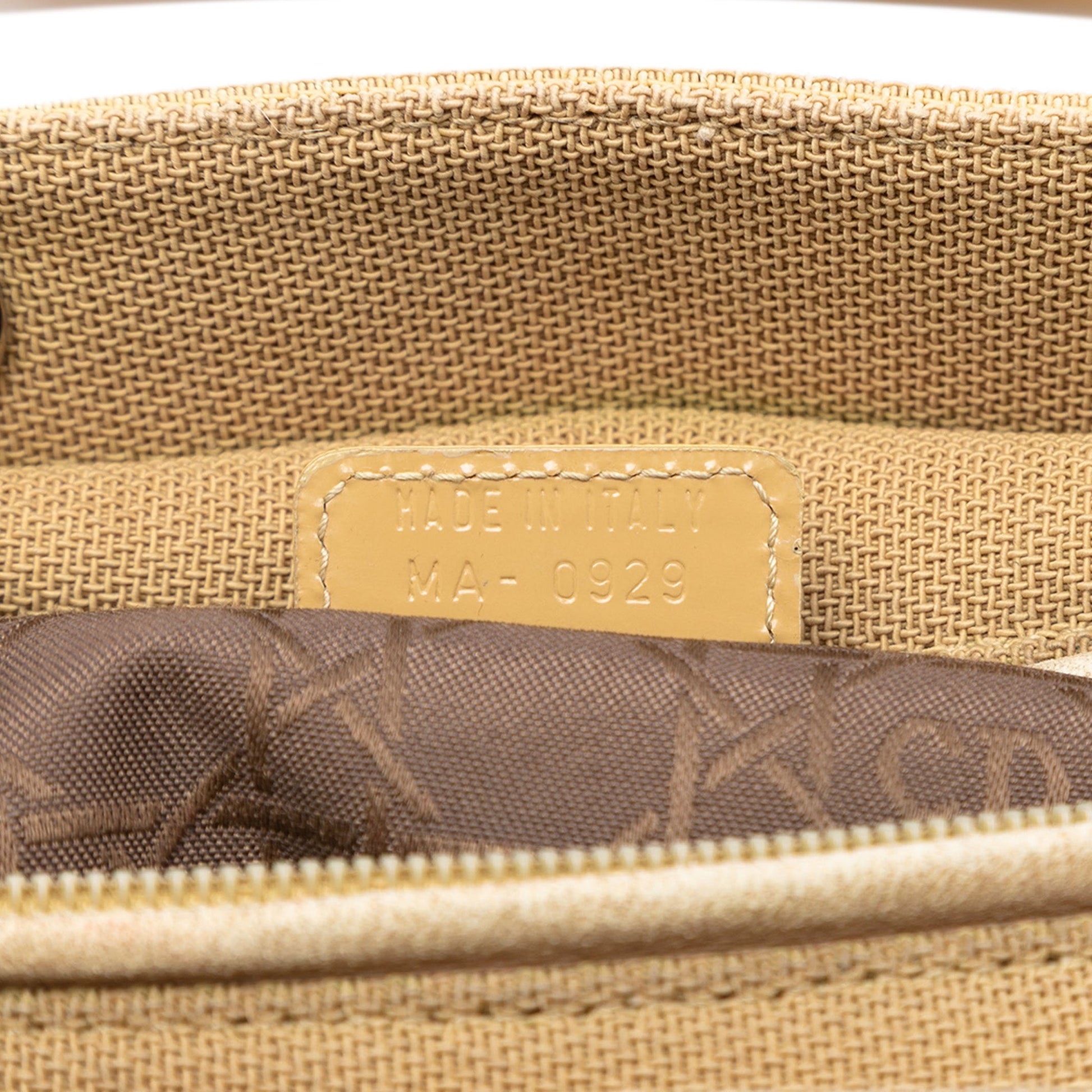 Medium Canvas Lady Dior