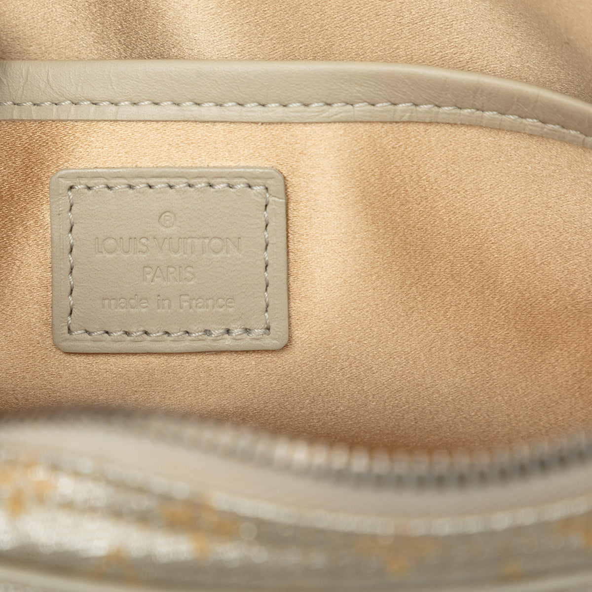 Louis Vuitton Monogram Mini Lin Shine McKenna
