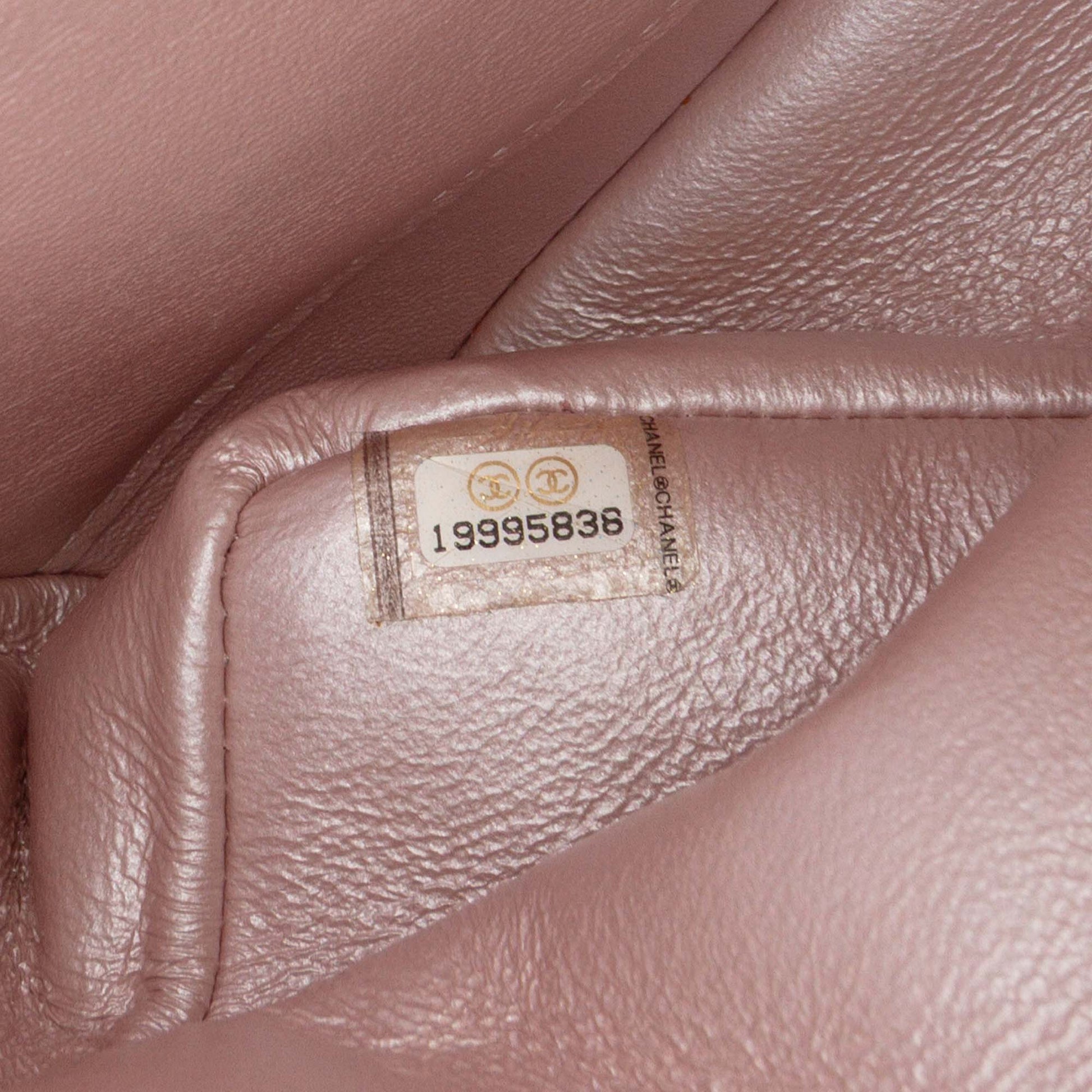 Chanel Medium Classic Iridescent Lambskin Double Flap