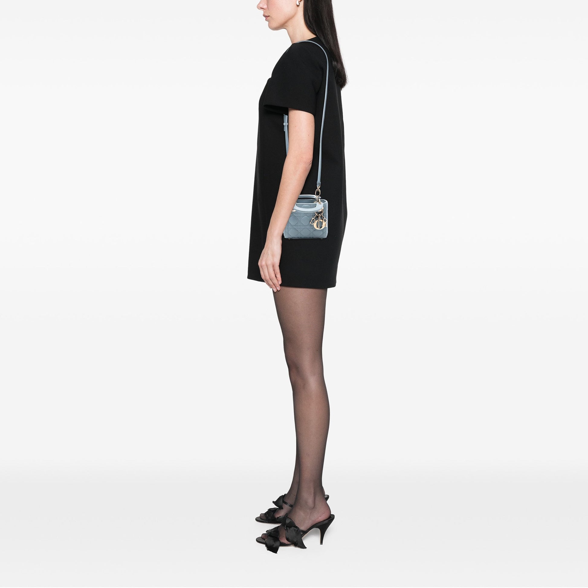 Dior Micro Lambskin Cannage Lady Dior