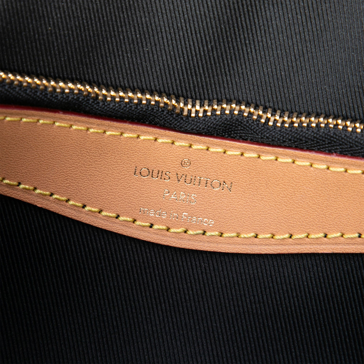 Louis Vuitton Monogram Diane