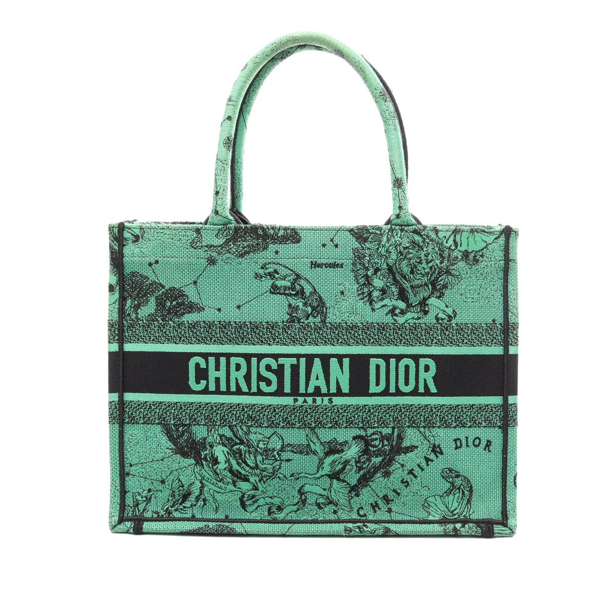 Dior Medium Embroidered Canvas Book Tote