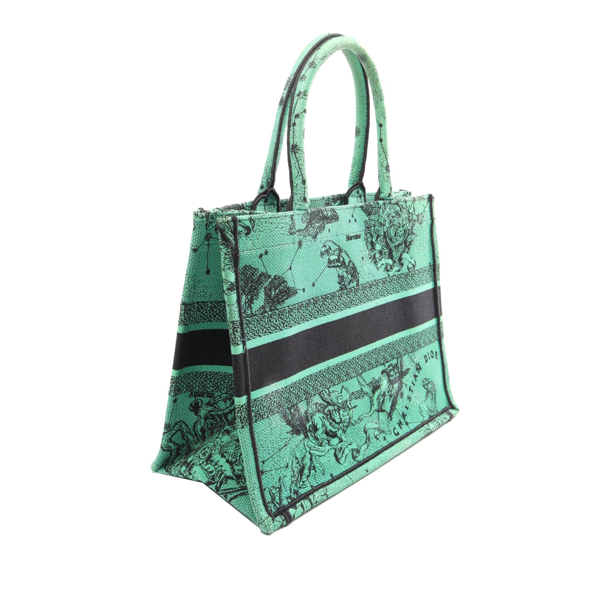 Dior Medium Embroidered Canvas Book Tote