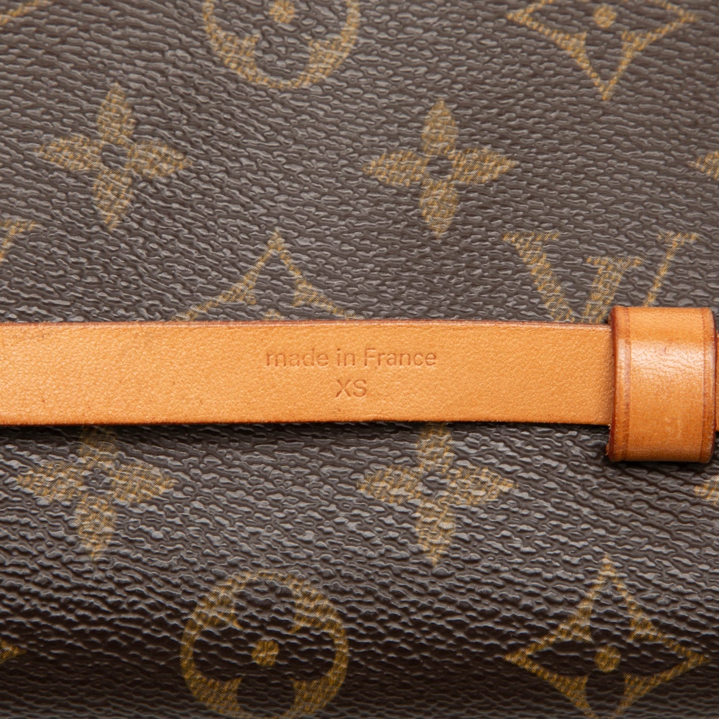 Louis Vuitton Monogram Pochette Florentine