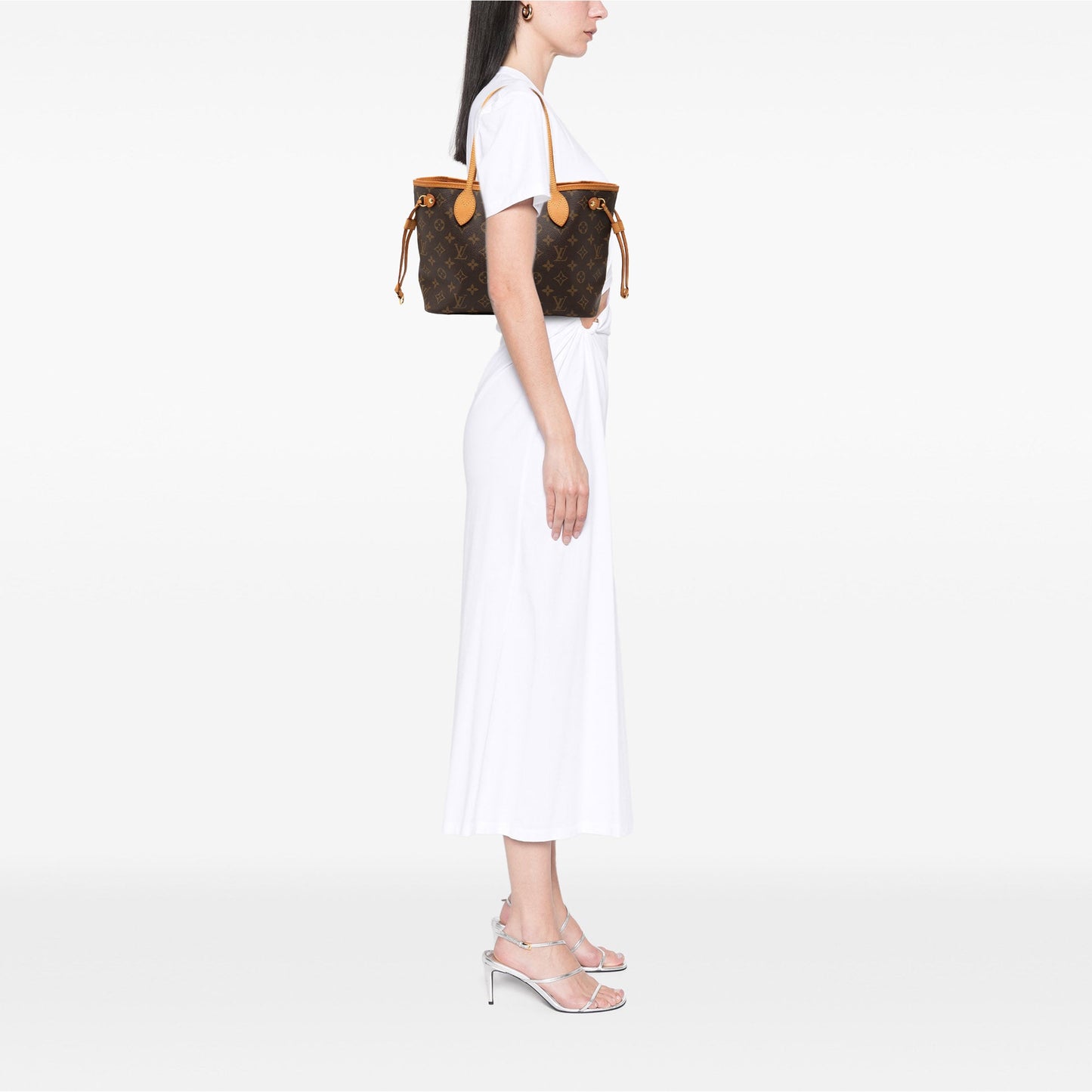 Louis Vuitton Monogram Neverfull PM
