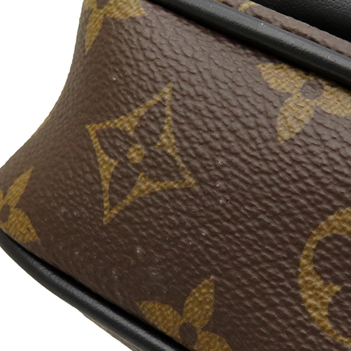 Louis Vuitton Monogram Macassar Christopher Wearable