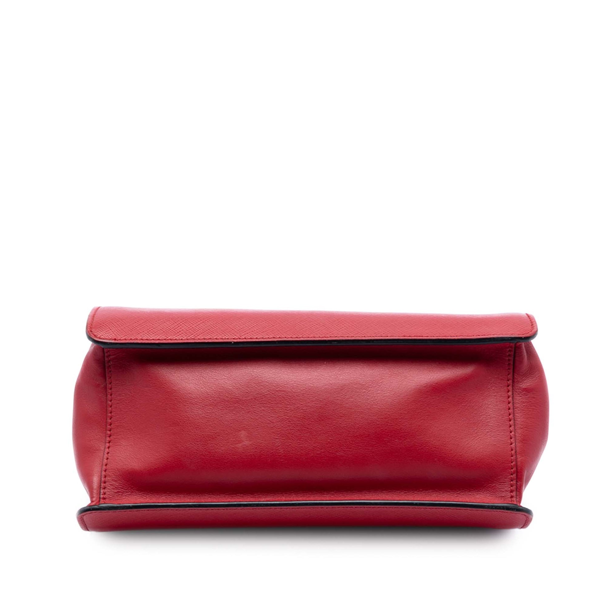Prada Saffiano and City Calf Light Frame Crossbody