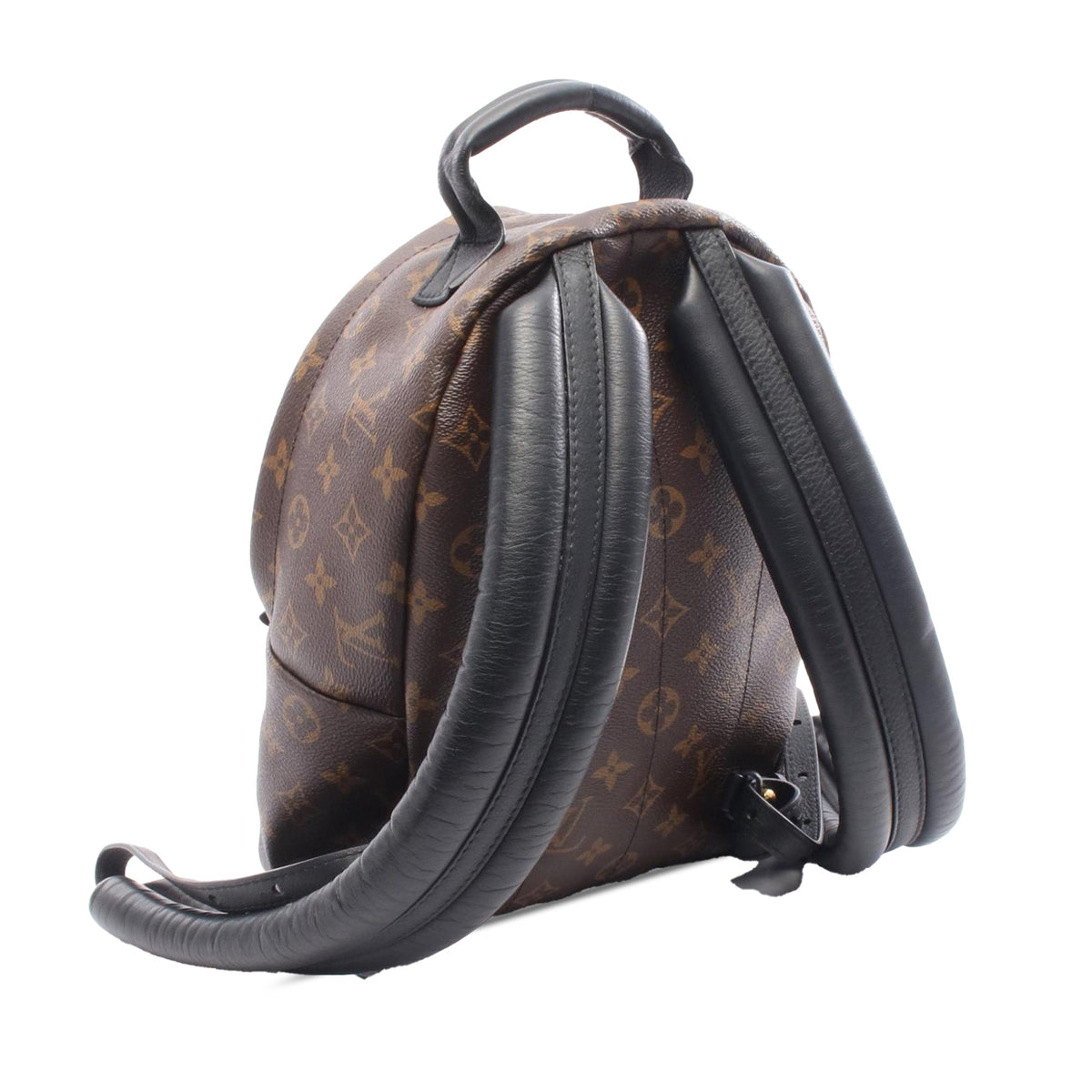Louis Vuitton Monogram Palm Springs PM