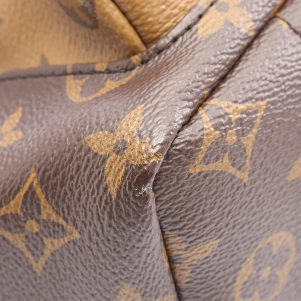 Louis Vuitton Monogram Palm Springs PM