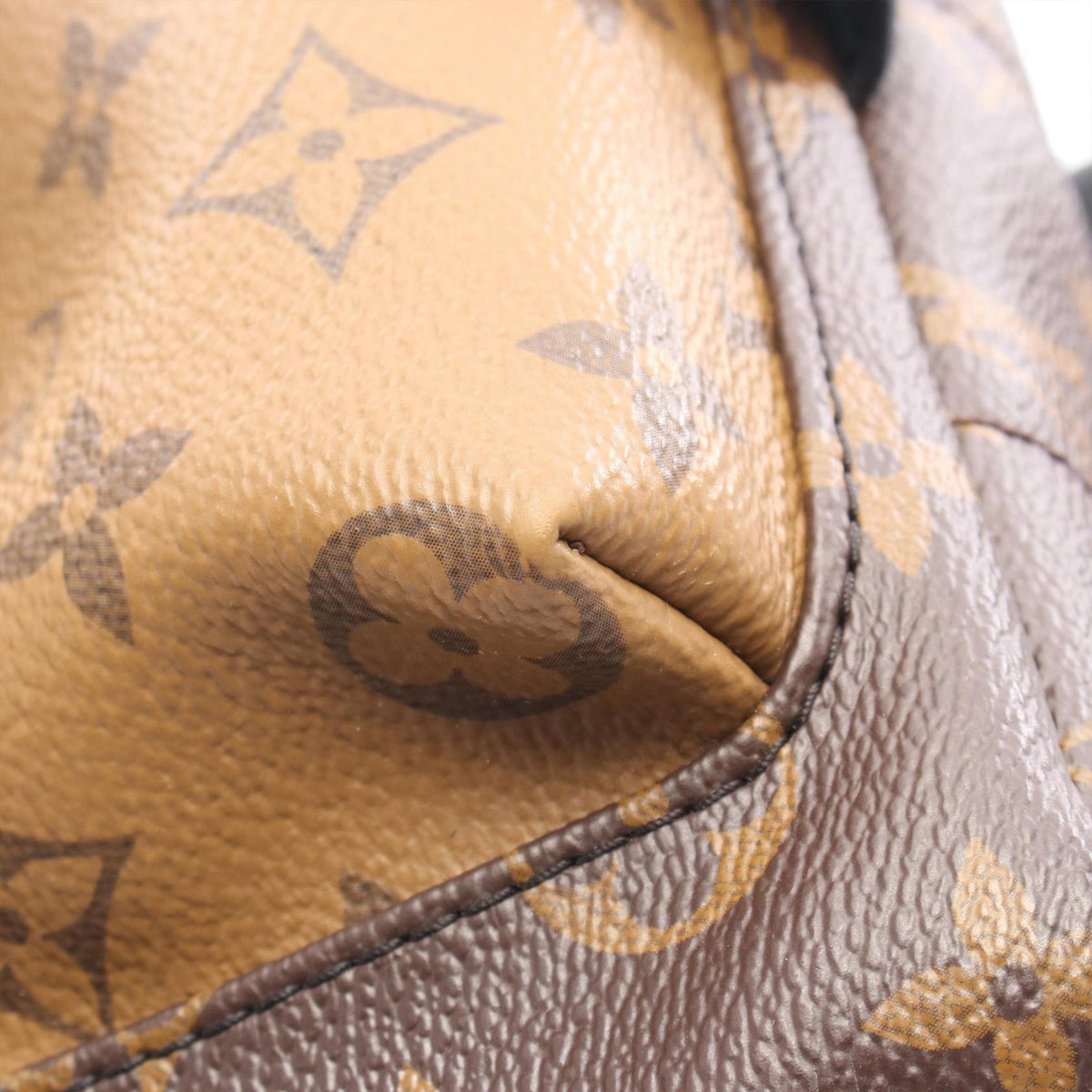 Louis Vuitton Monogram Palm Springs PM