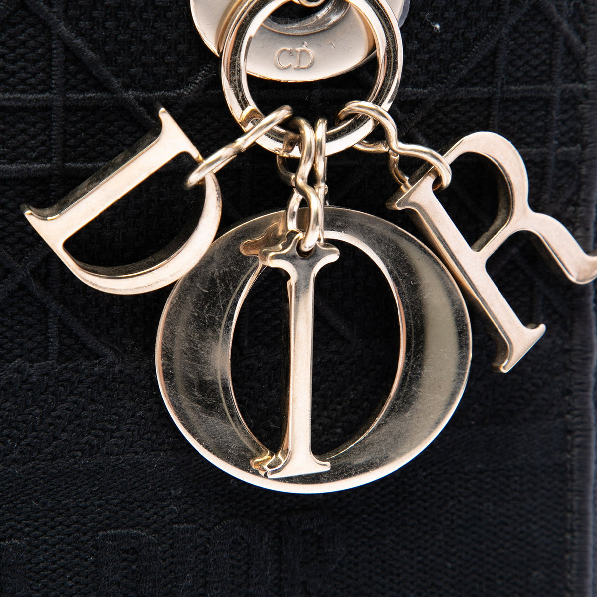 Dior Medium Embroidered Canvas Cannage Lady D Lite