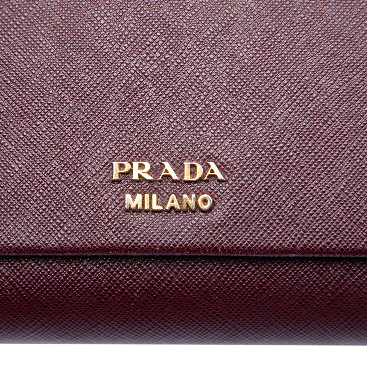 Prada Saffiano and City Calf Bibliotheque Clutch with Chain