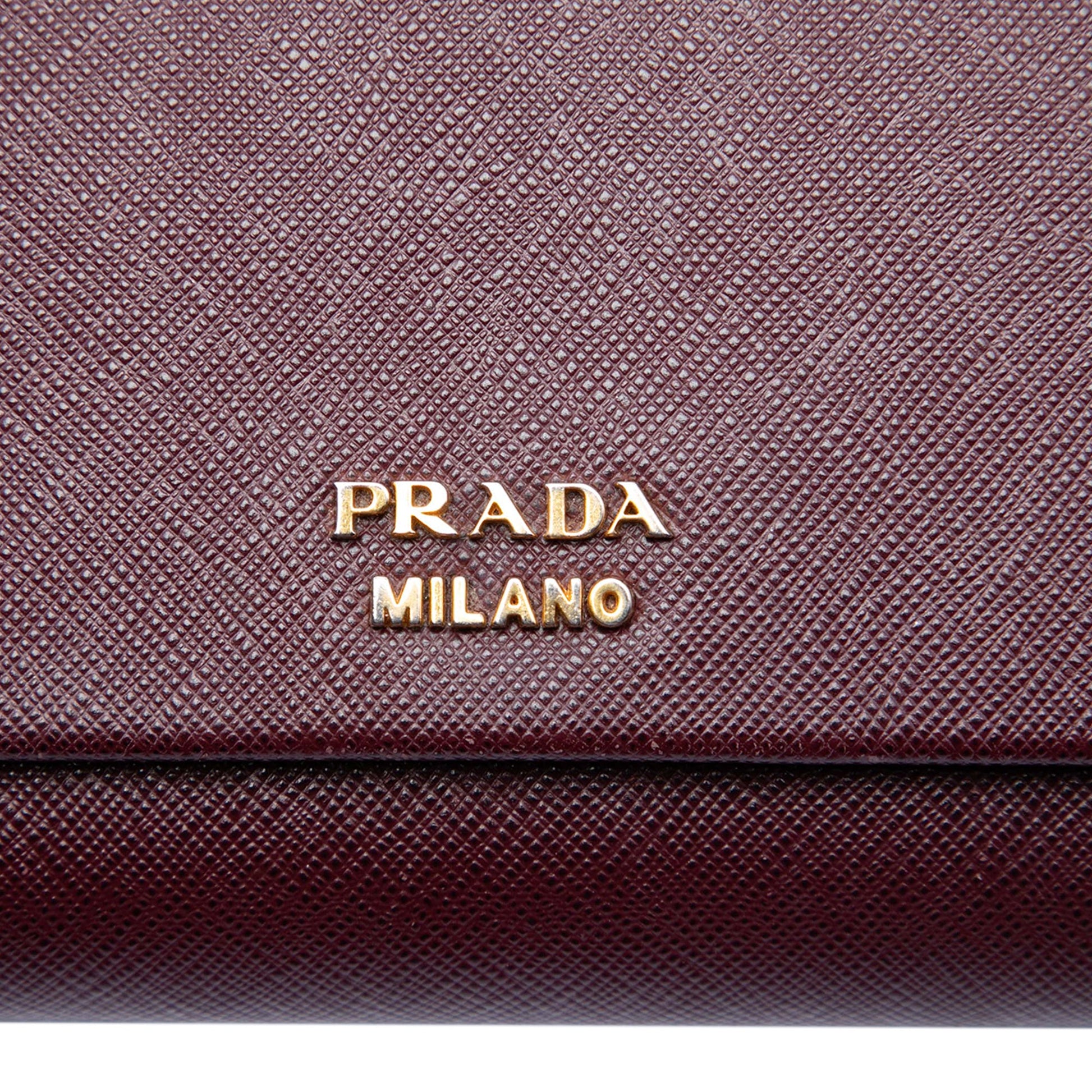 Prada Saffiano and City Calf Bibliotheque Clutch with Chain