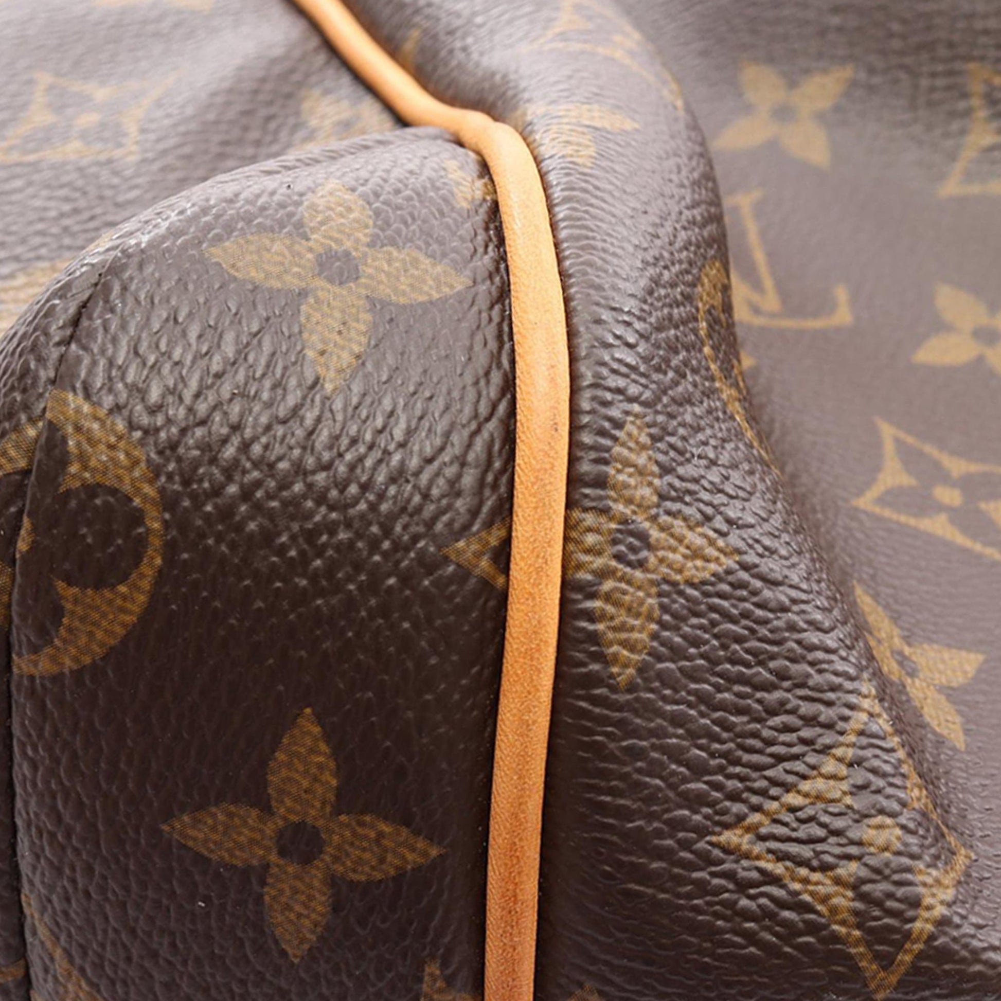 Louis Vuitton Monogram Totally PM