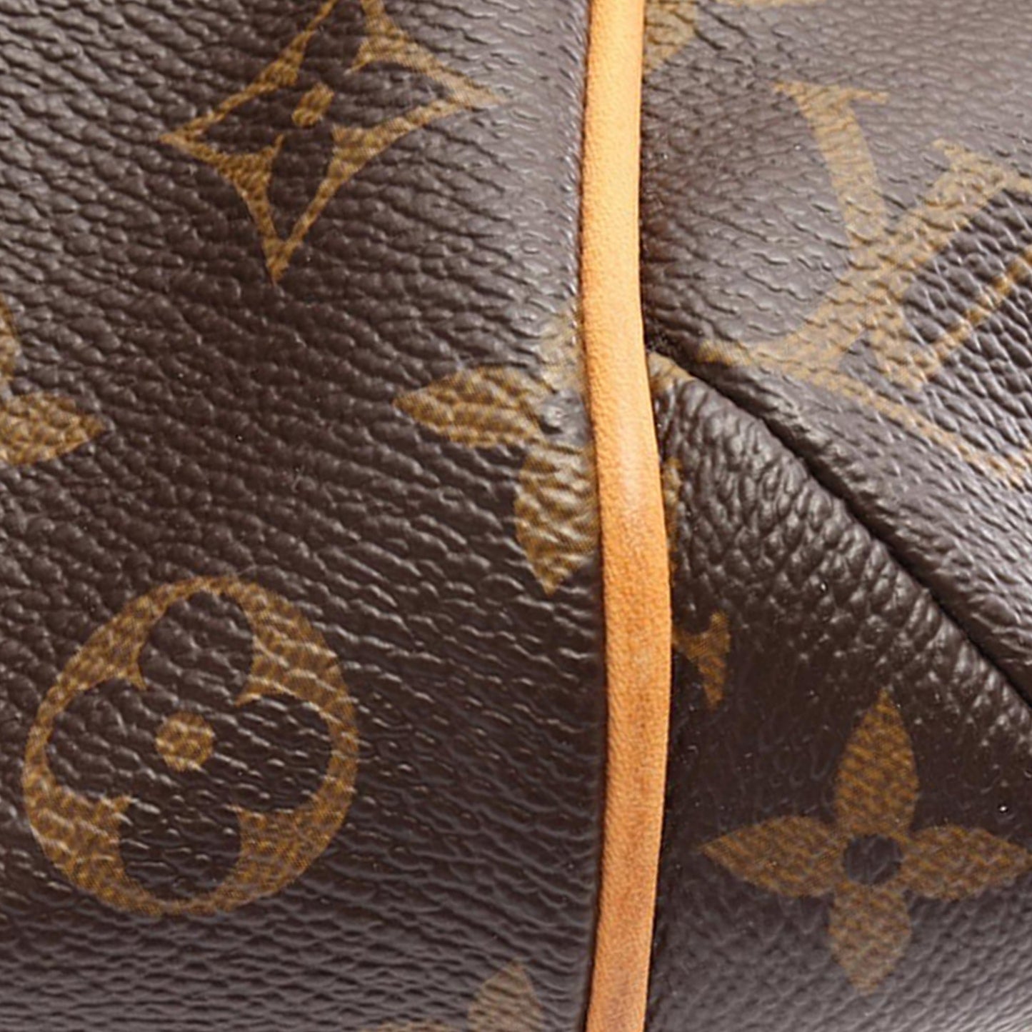 Louis Vuitton Monogram Totally PM
