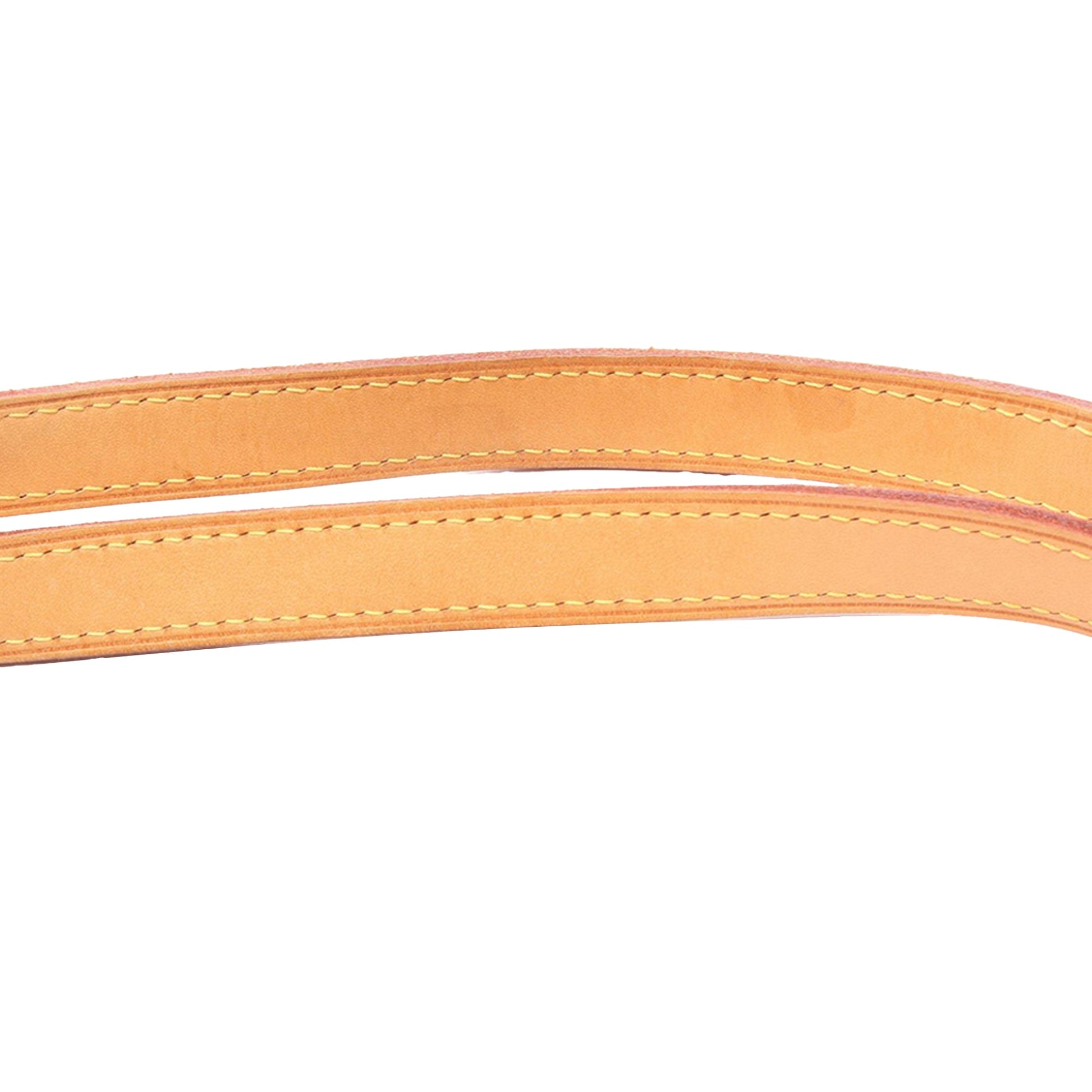Louis Vuitton Monogram Totally PM
