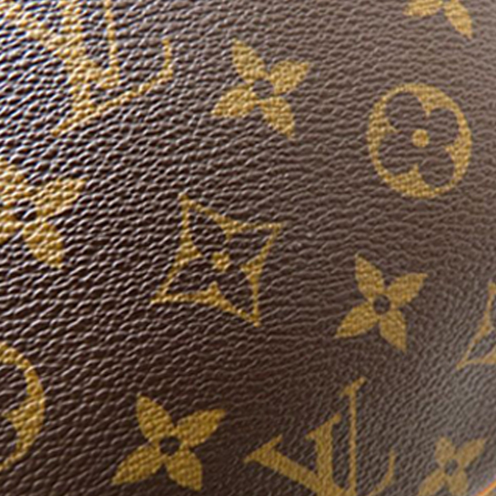 Louis Vuitton Monogram Odeon PM