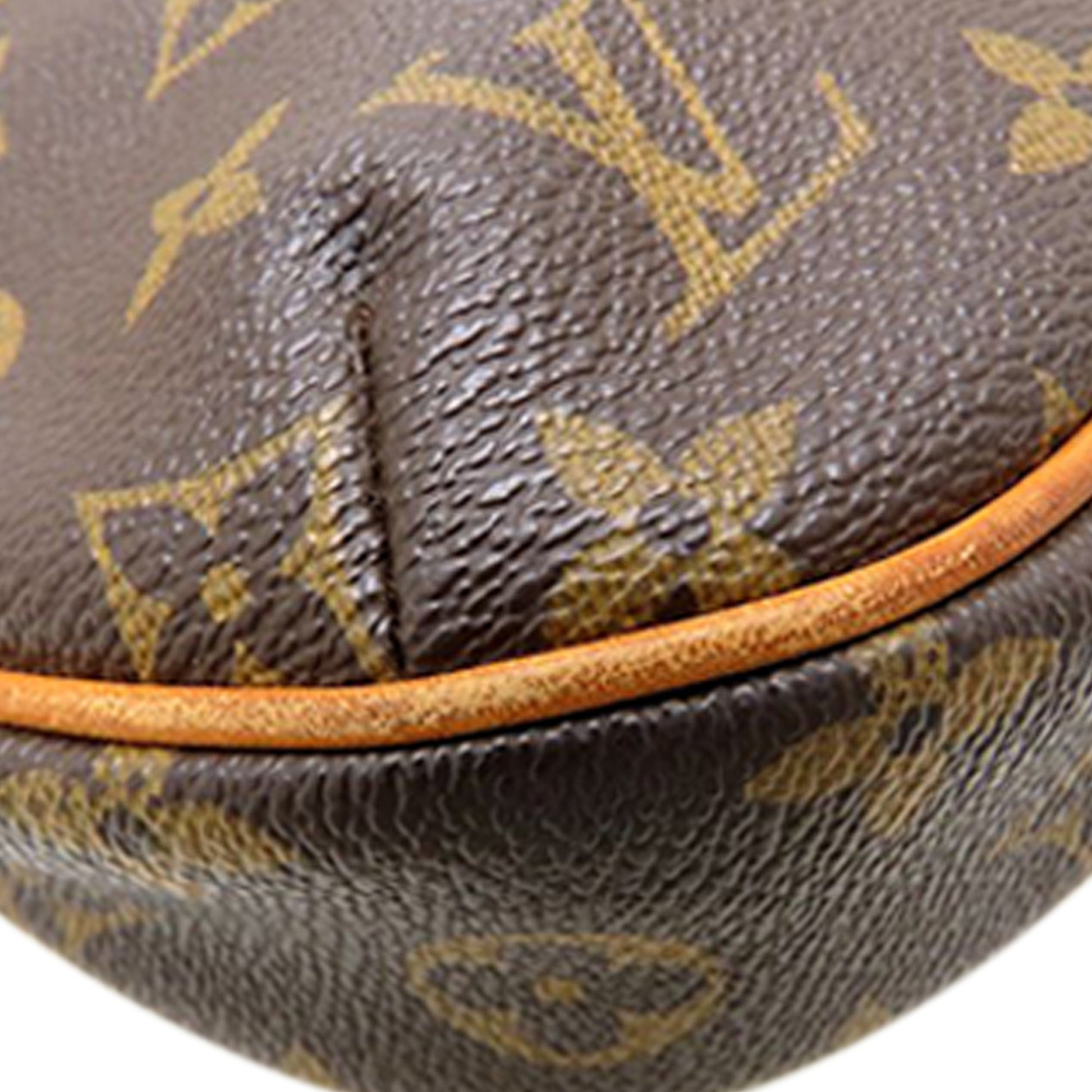 Louis Vuitton Monogram Odeon PM