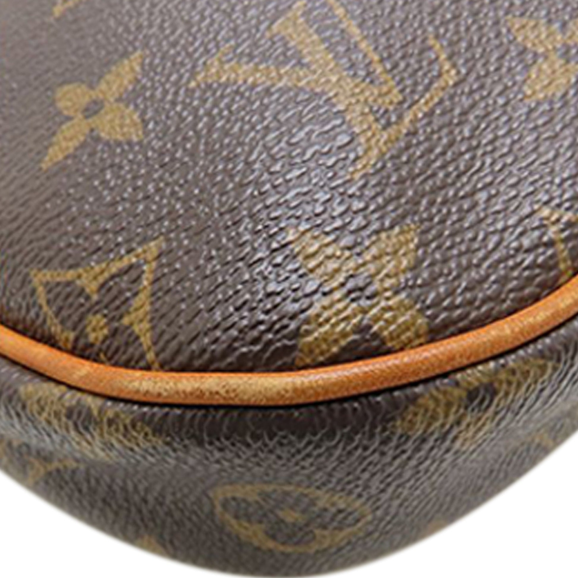 Louis Vuitton Monogram Odeon PM