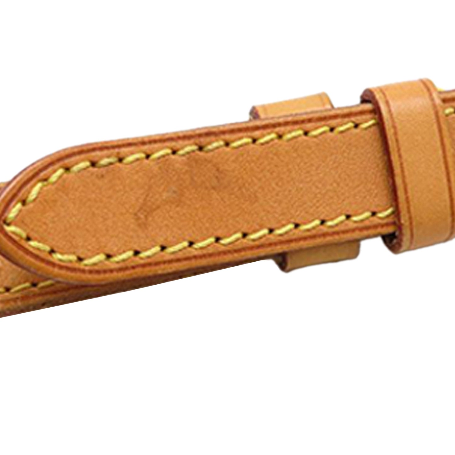 Louis Vuitton Monogram Odeon PM