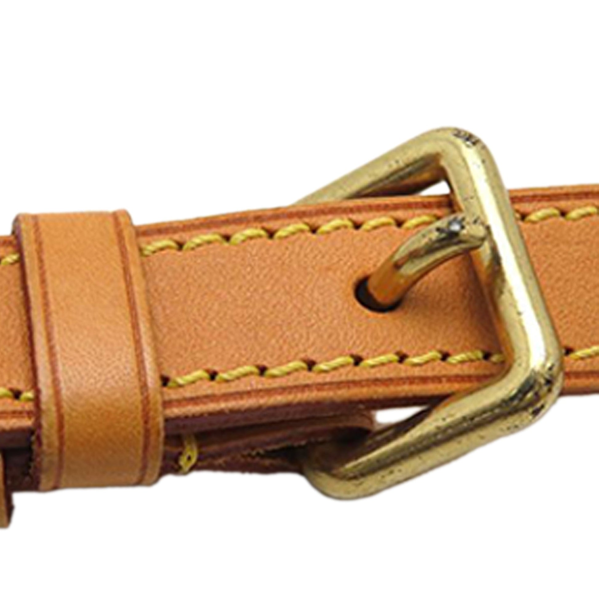 Louis Vuitton Monogram Odeon PM