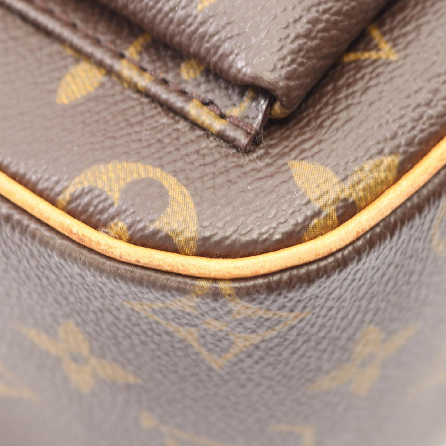 Louis Vuitton Monogram Viva Cite GM