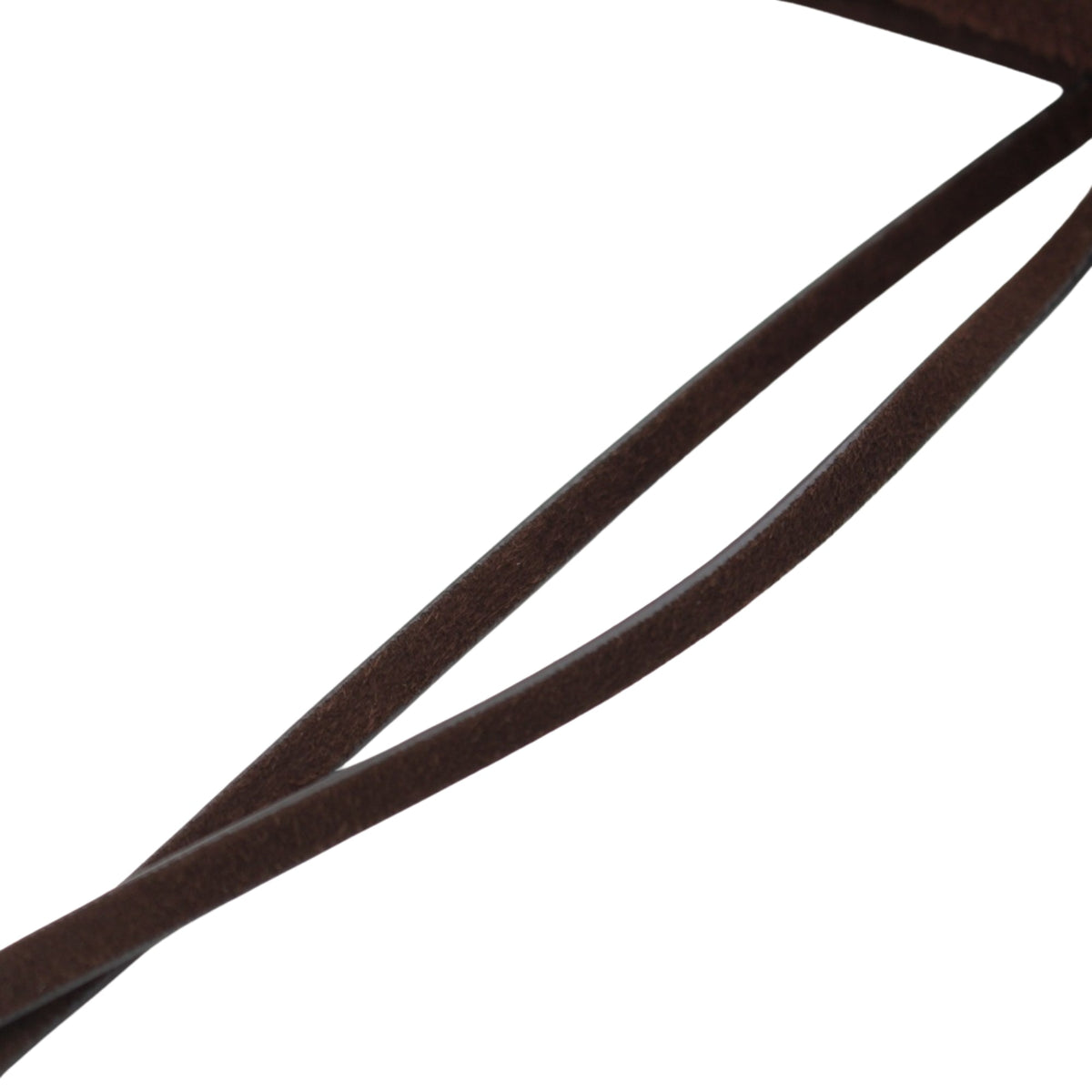 The Row Medium Suede Edge NS Park Tote