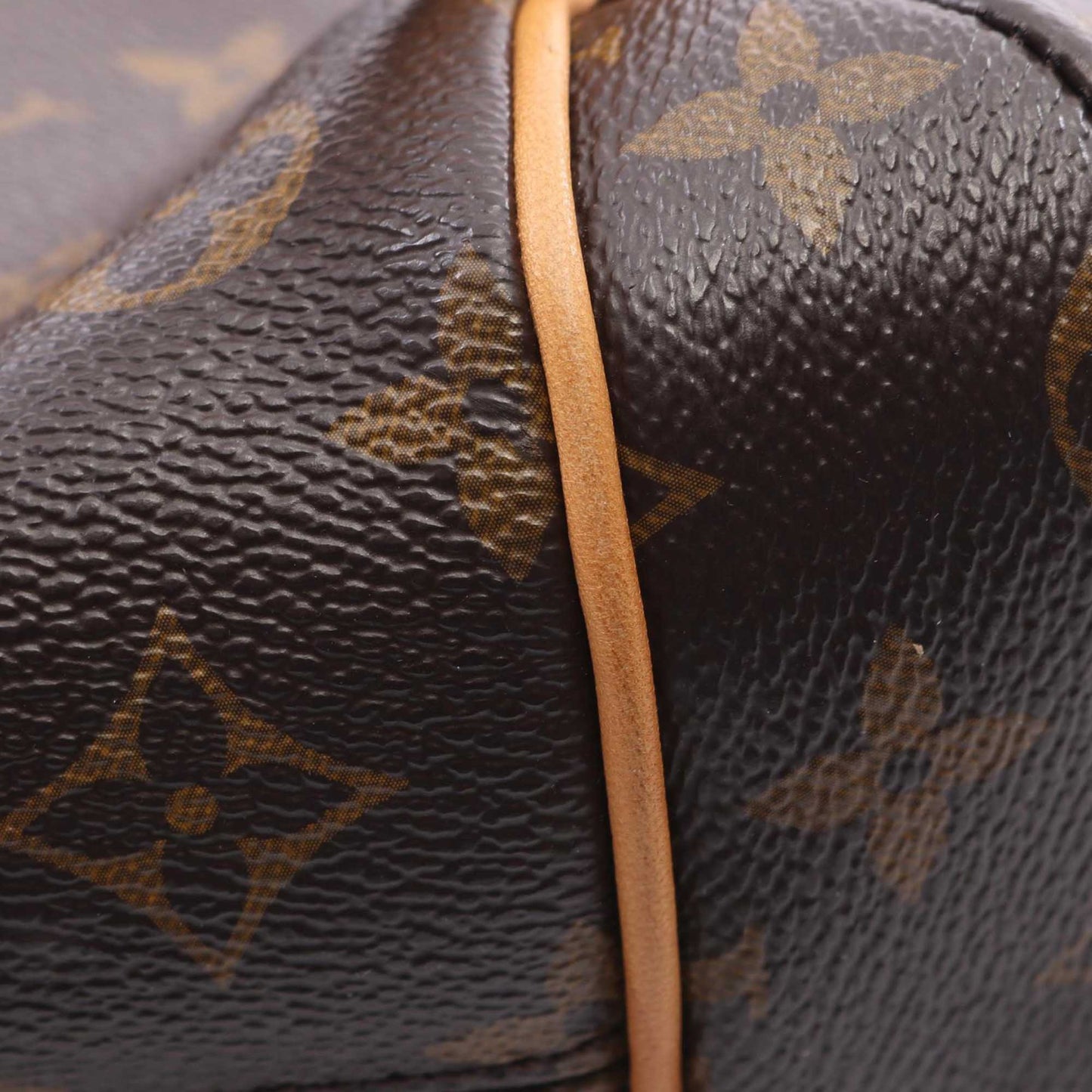 Louis Vuitton Monogram Totally PM