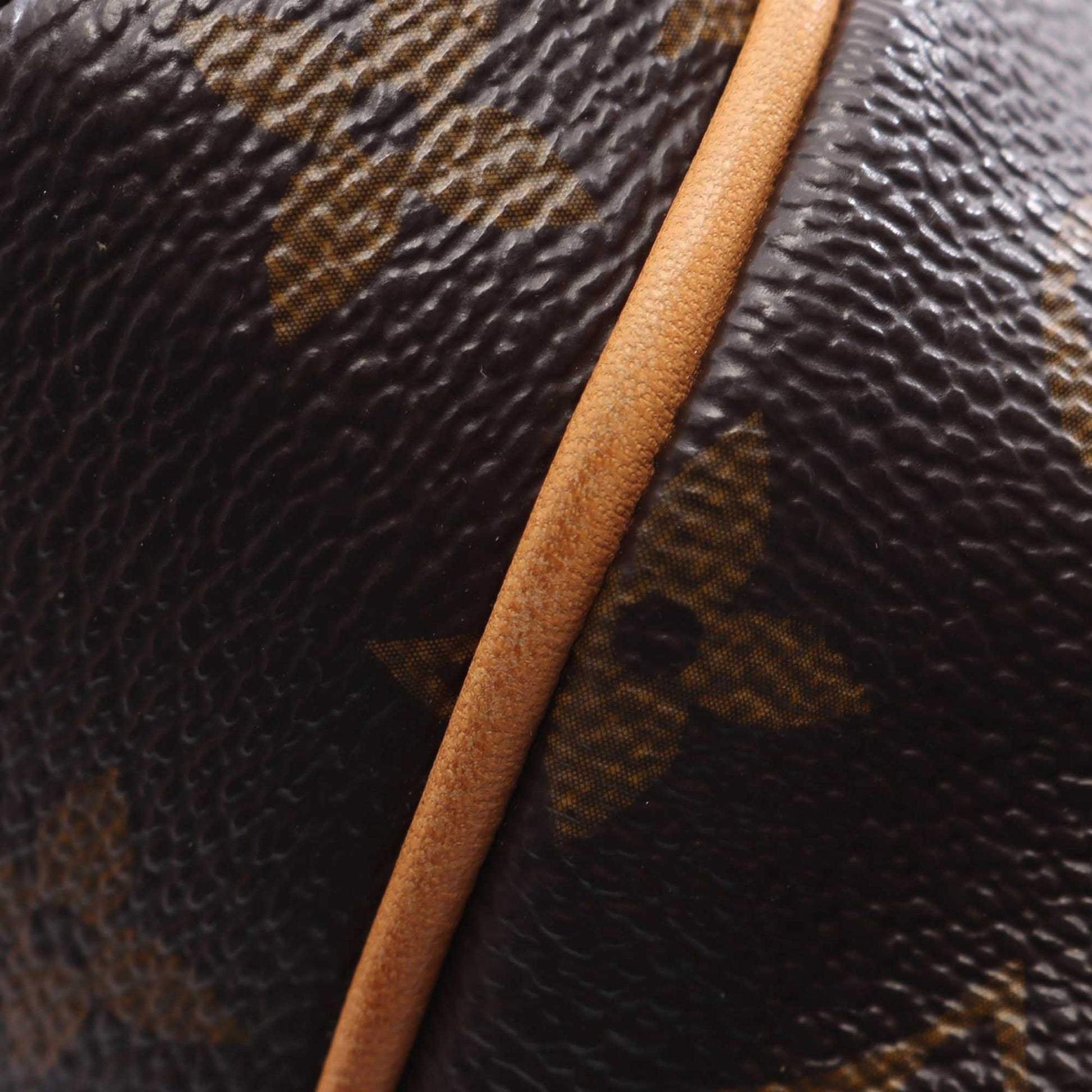 Louis Vuitton Monogram Totally PM