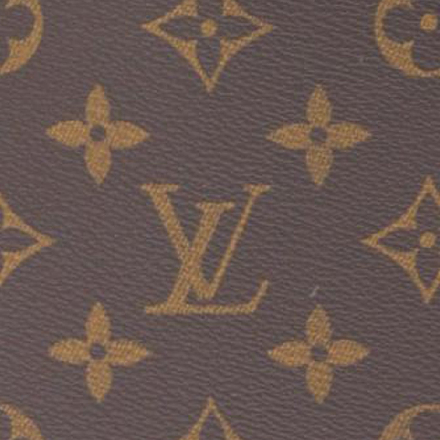 Louis Vuitton Monogram Vavin PM