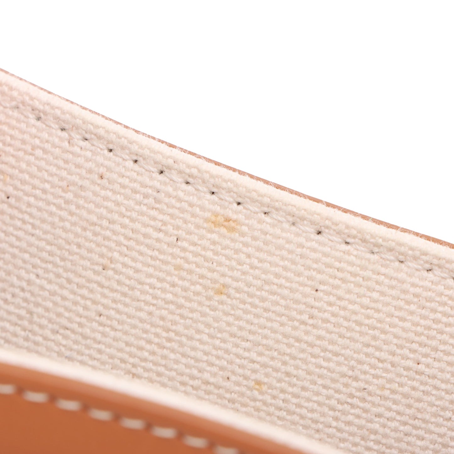 Celine Mini Canvas Vertical Cabas Tote