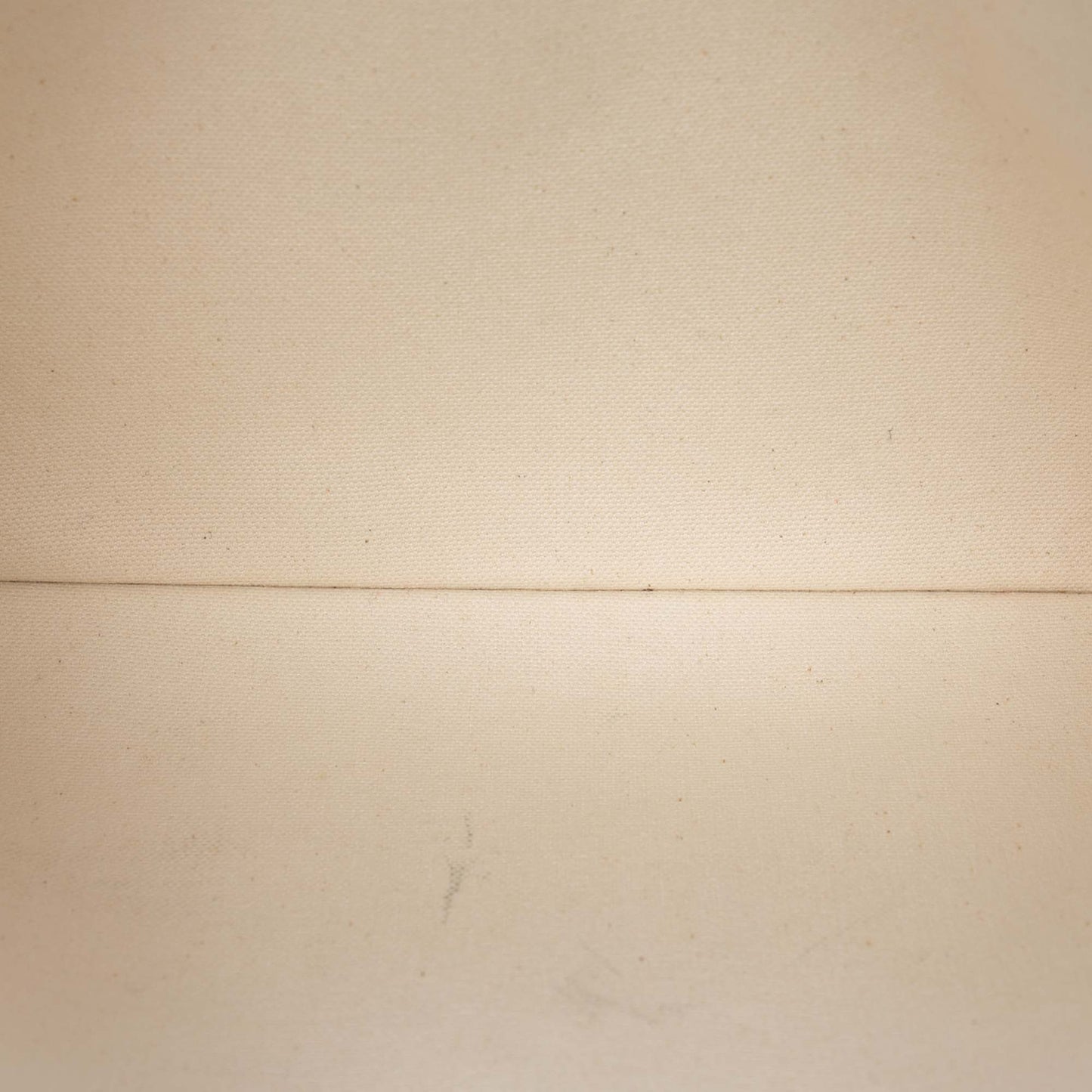 Celine Large Canvas Logo Clutch