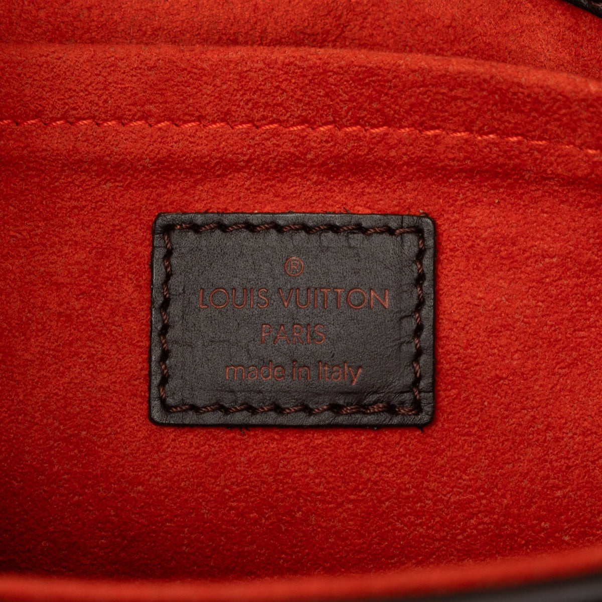 Louis Vuitton Damier Sauvage Lionne — Brown
