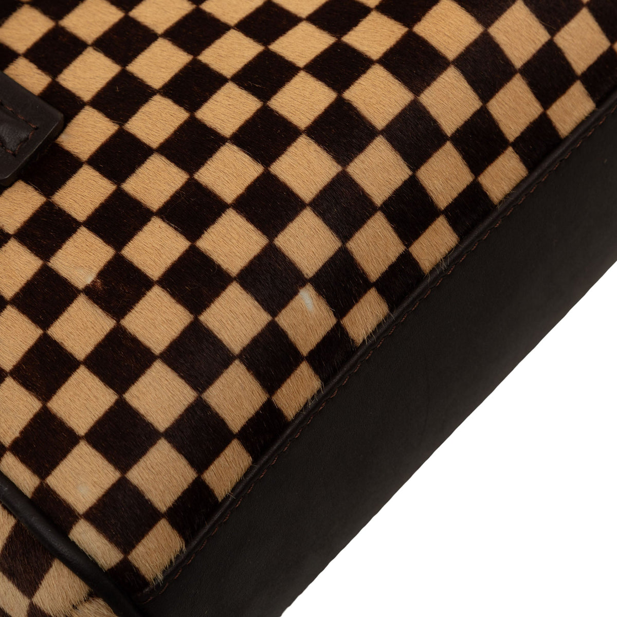 Louis Vuitton Damier Sauvage Lionne — Brown