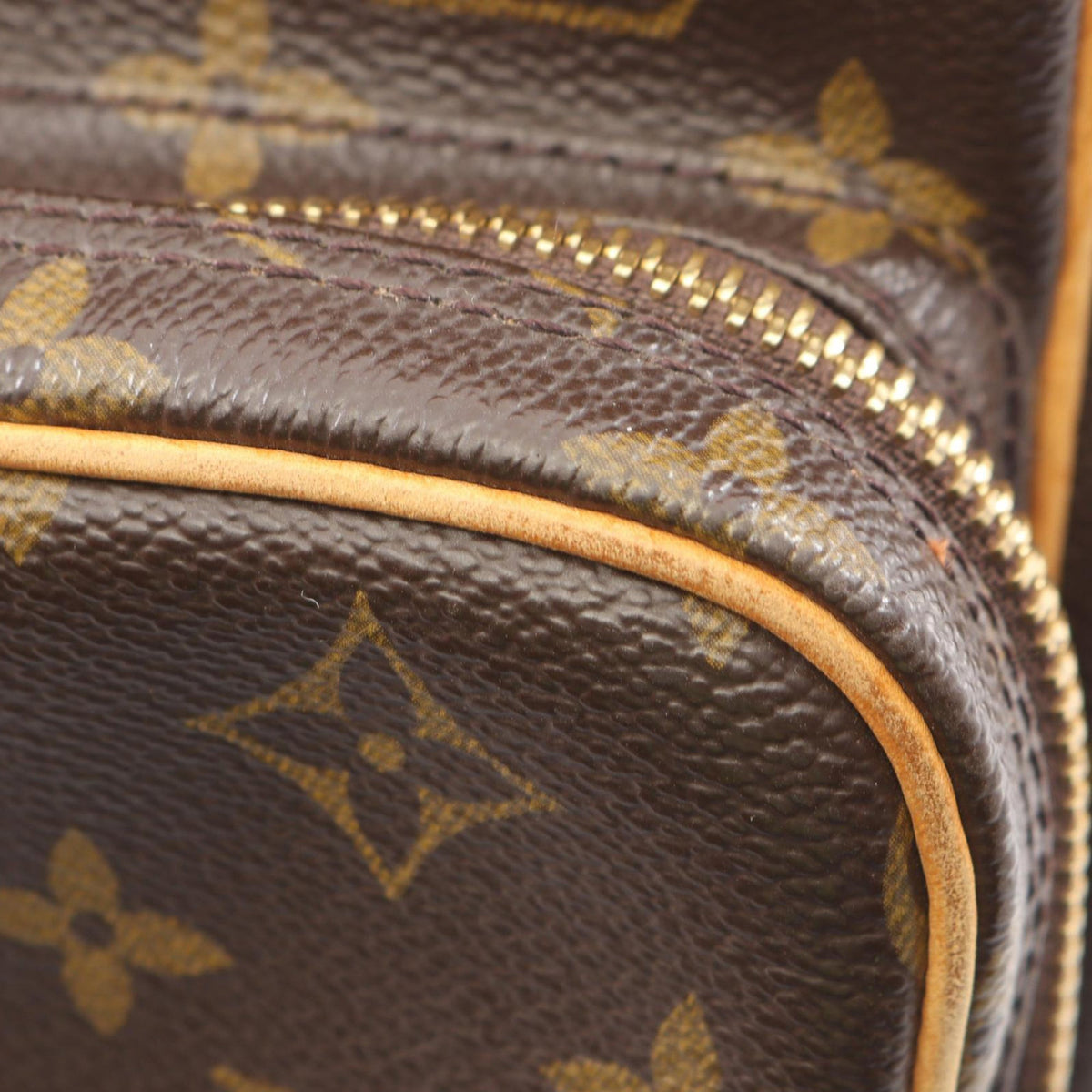 Louis Vuitton Monogram Amazone
