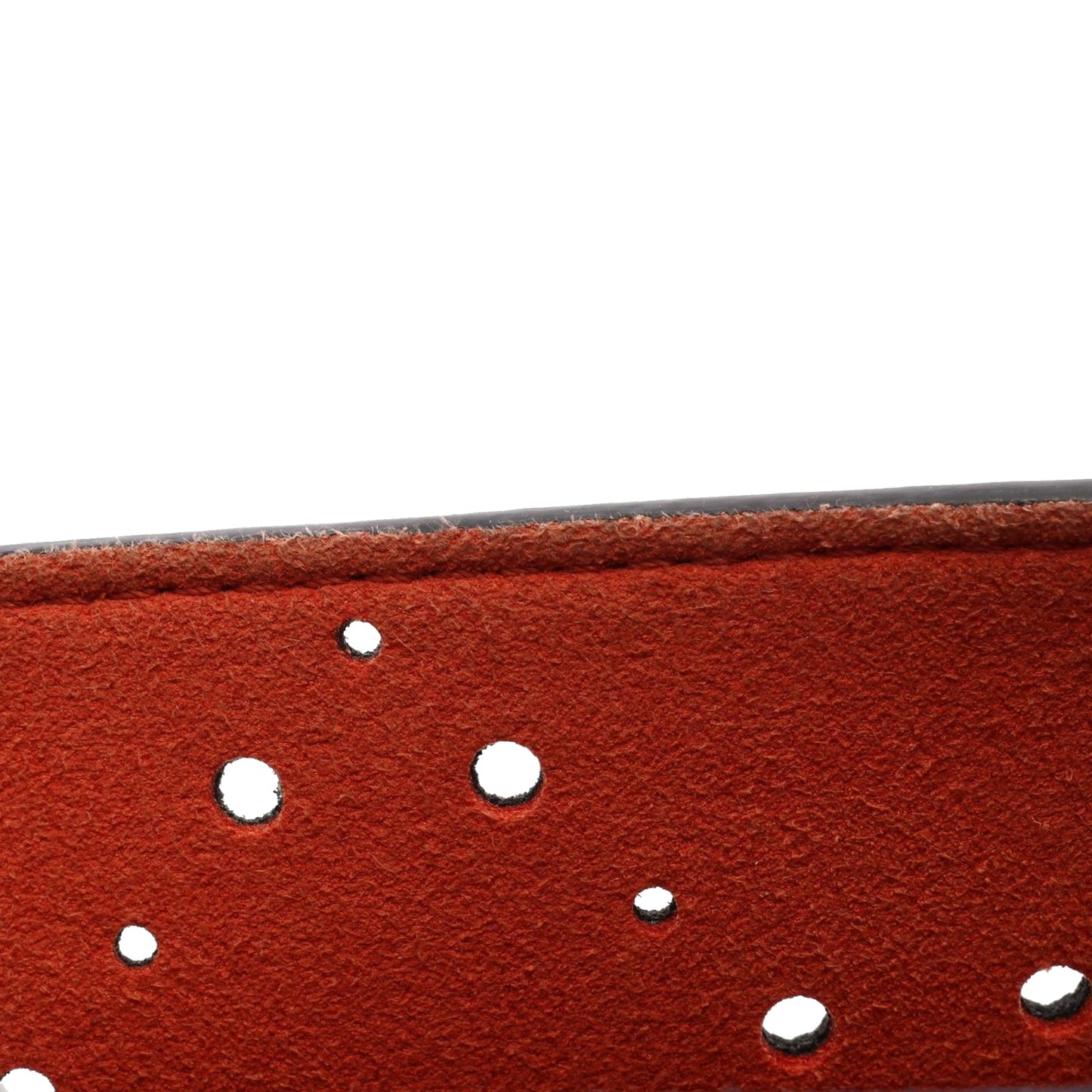 Chanel Caviar Coco Eyelets Flap