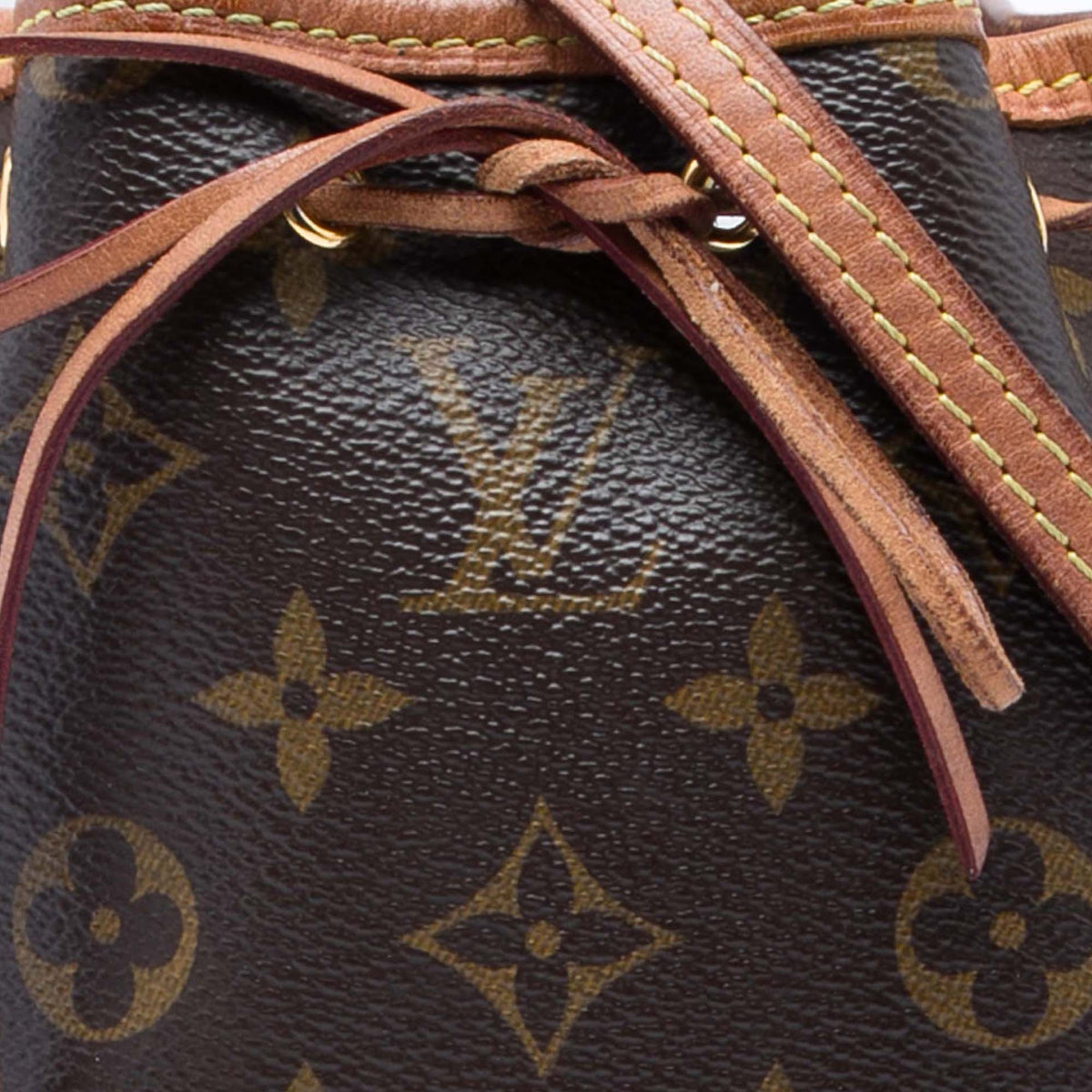 Louis Vuitton Monogram Nano Noe