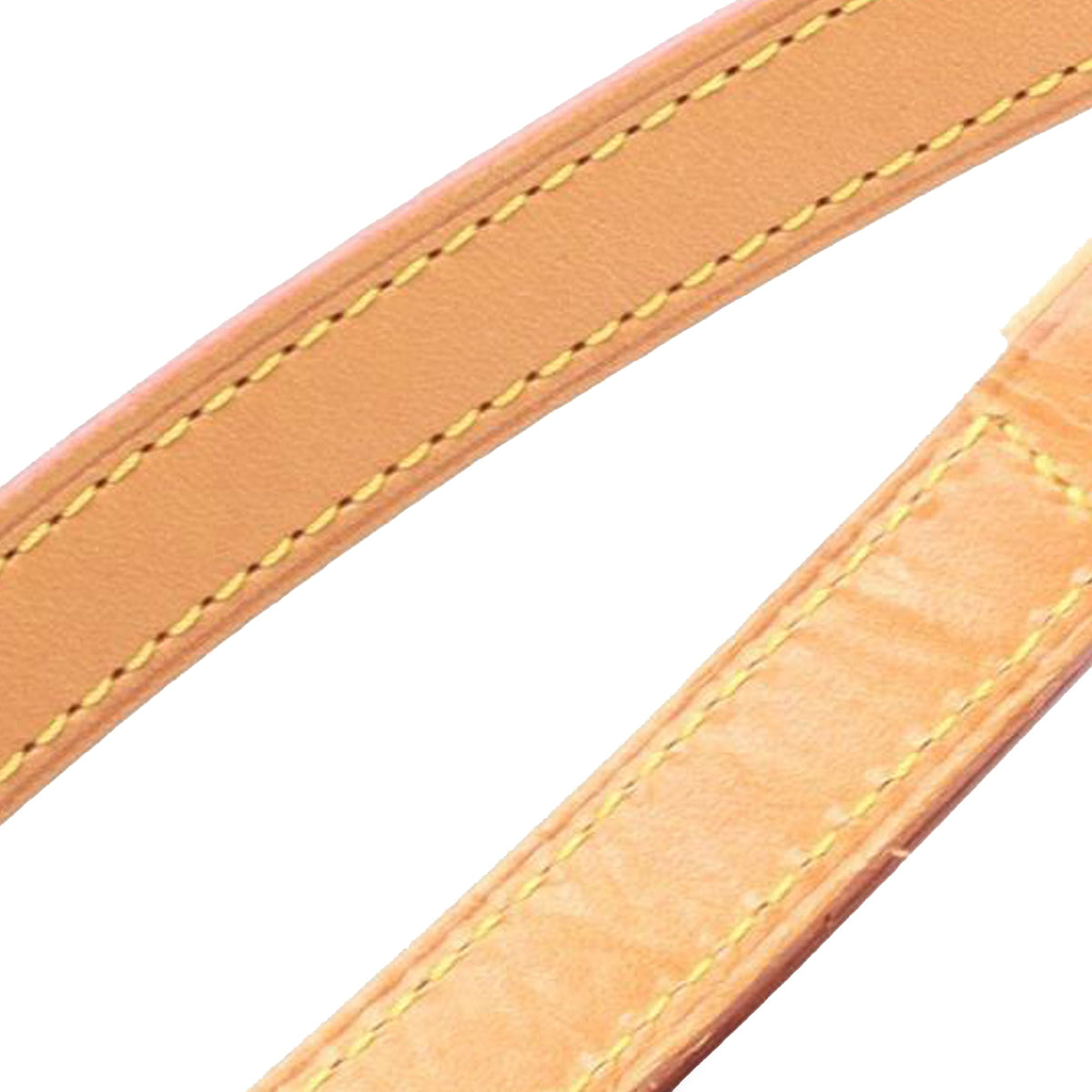 Louis Vuitton Monogram Musette Salsa Long Strap