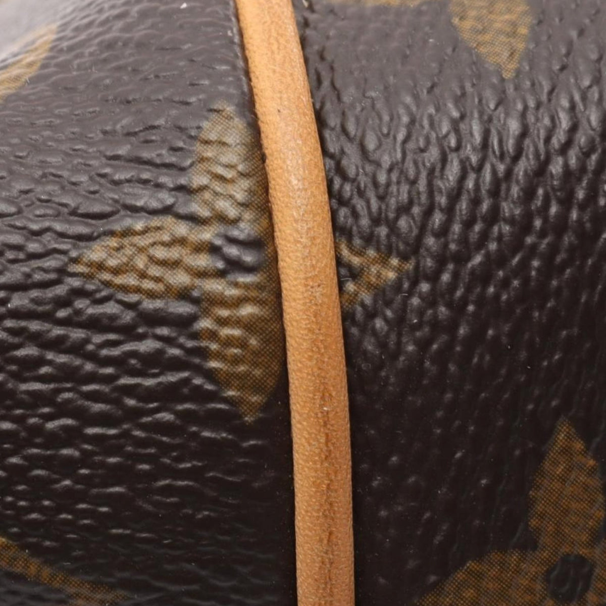 Louis Vuitton Monogram Totally PM