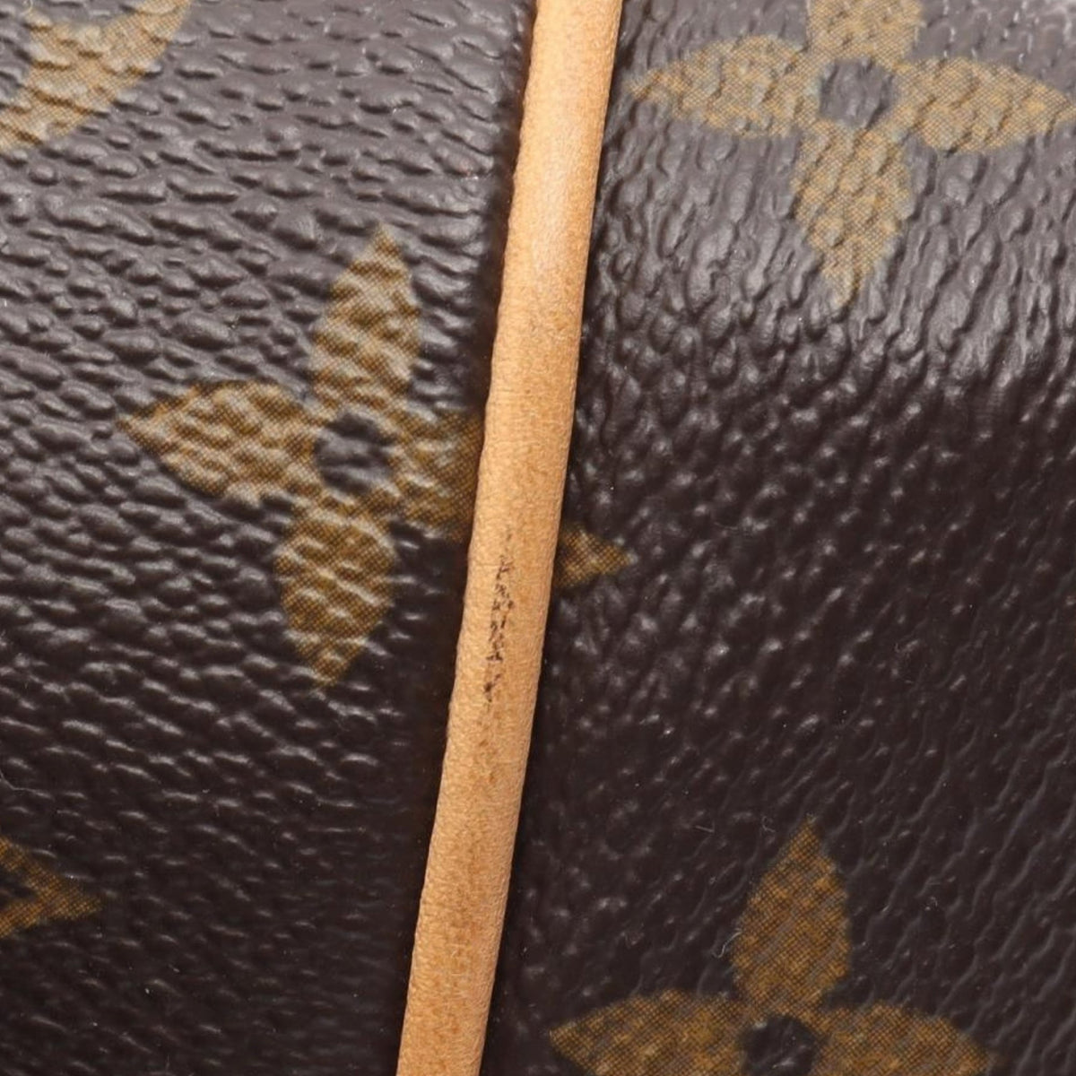 Louis Vuitton Monogram Totally PM