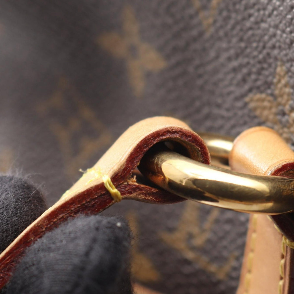 Louis Vuitton Monogram Totally PM
