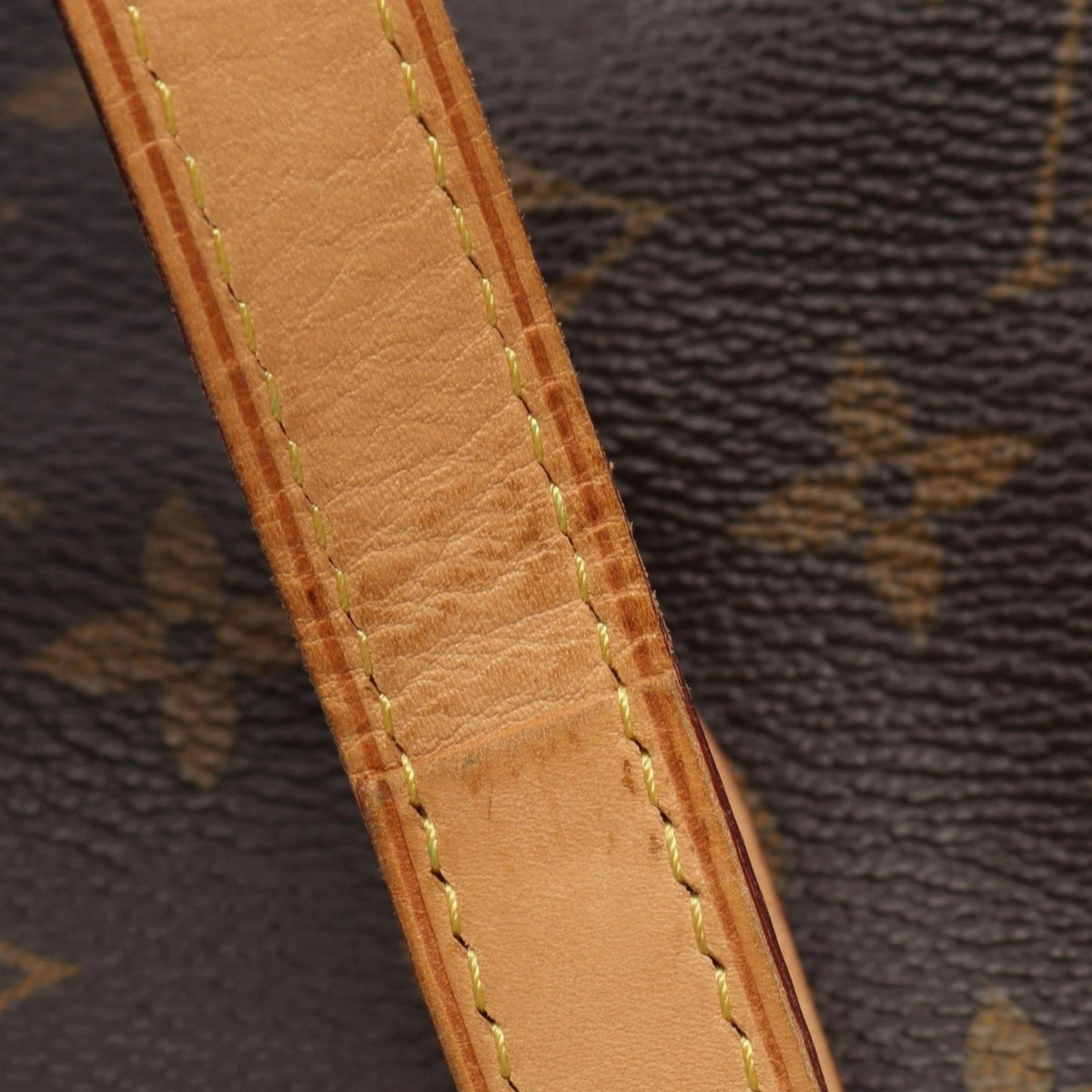 Louis Vuitton Monogram Totally PM