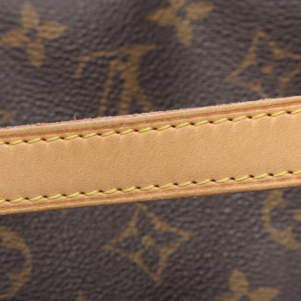 Louis Vuitton Monogram Totally PM
