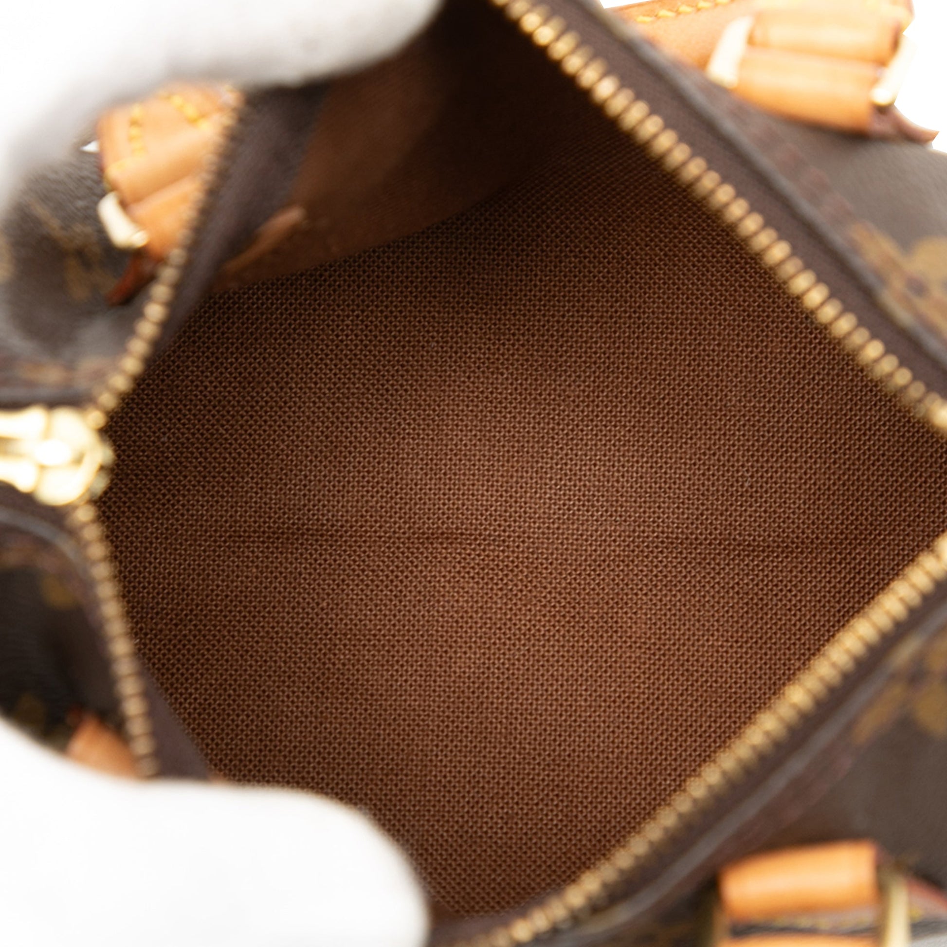 Monogram Mini Speedy HL