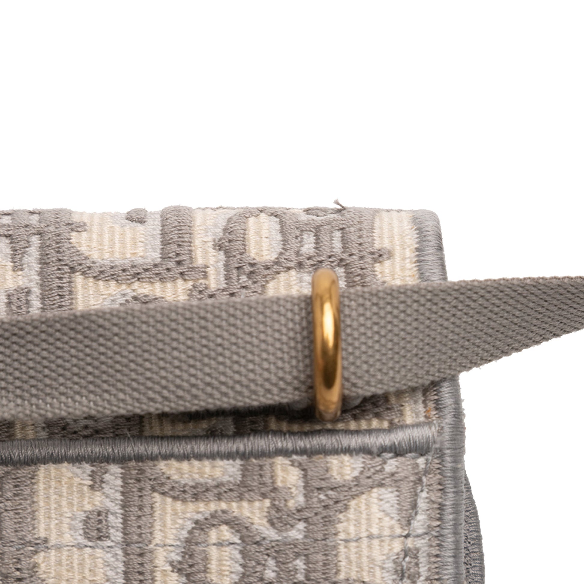 Oblique Canvas Embroidered Saddle Belt Bag