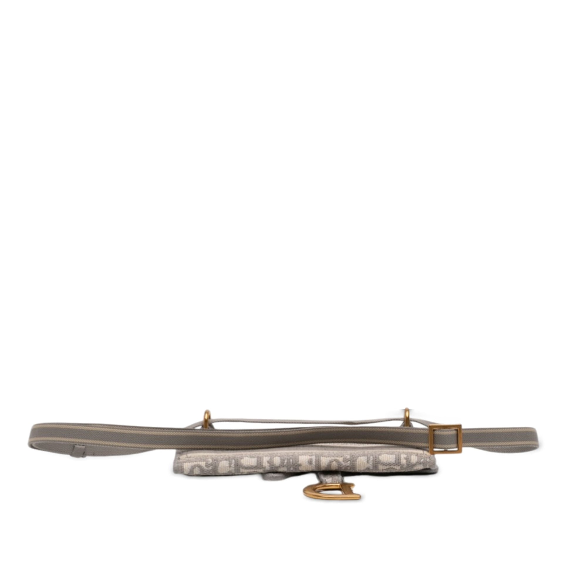Oblique Canvas Embroidered Saddle Belt Bag