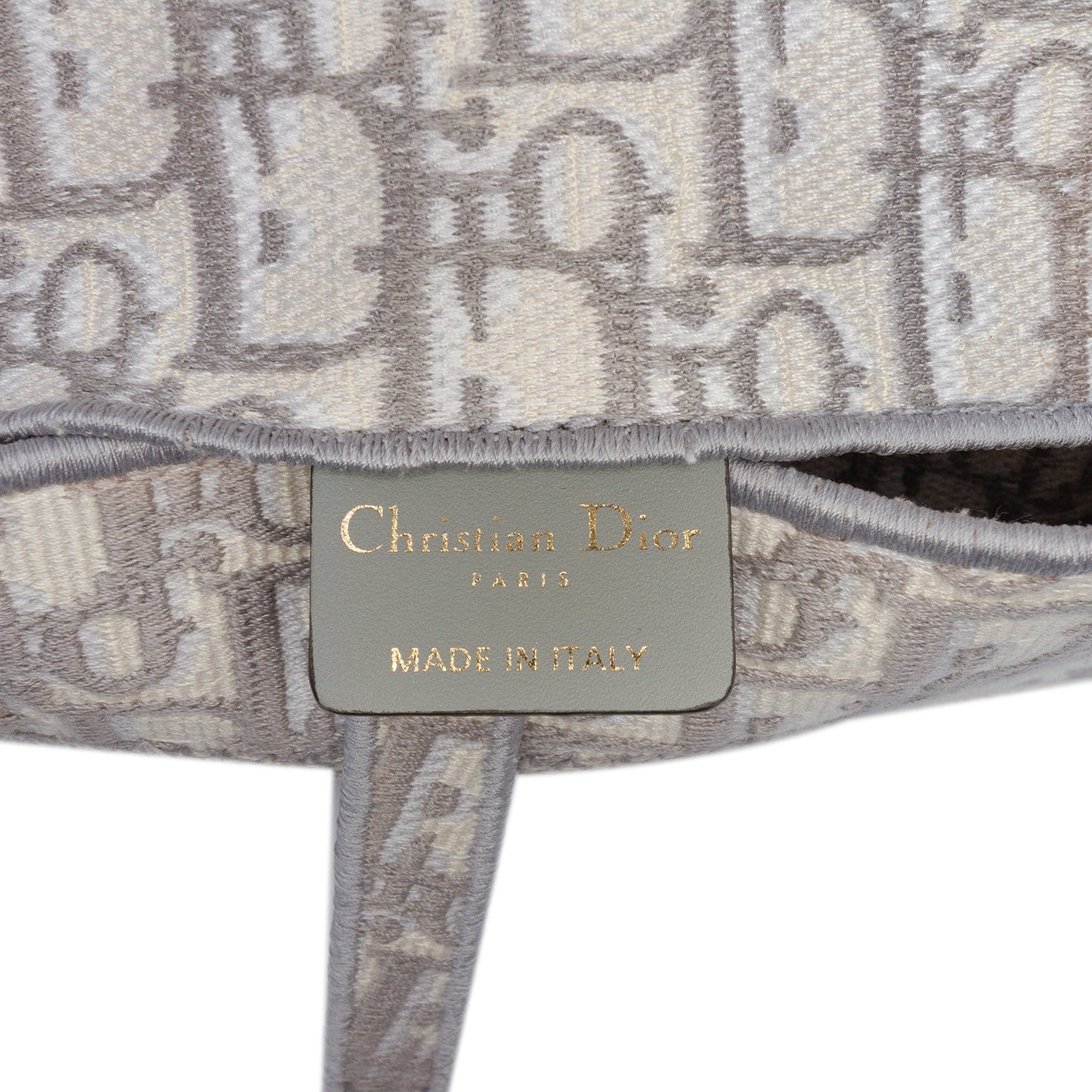 Oblique Canvas Embroidered Saddle Belt Bag