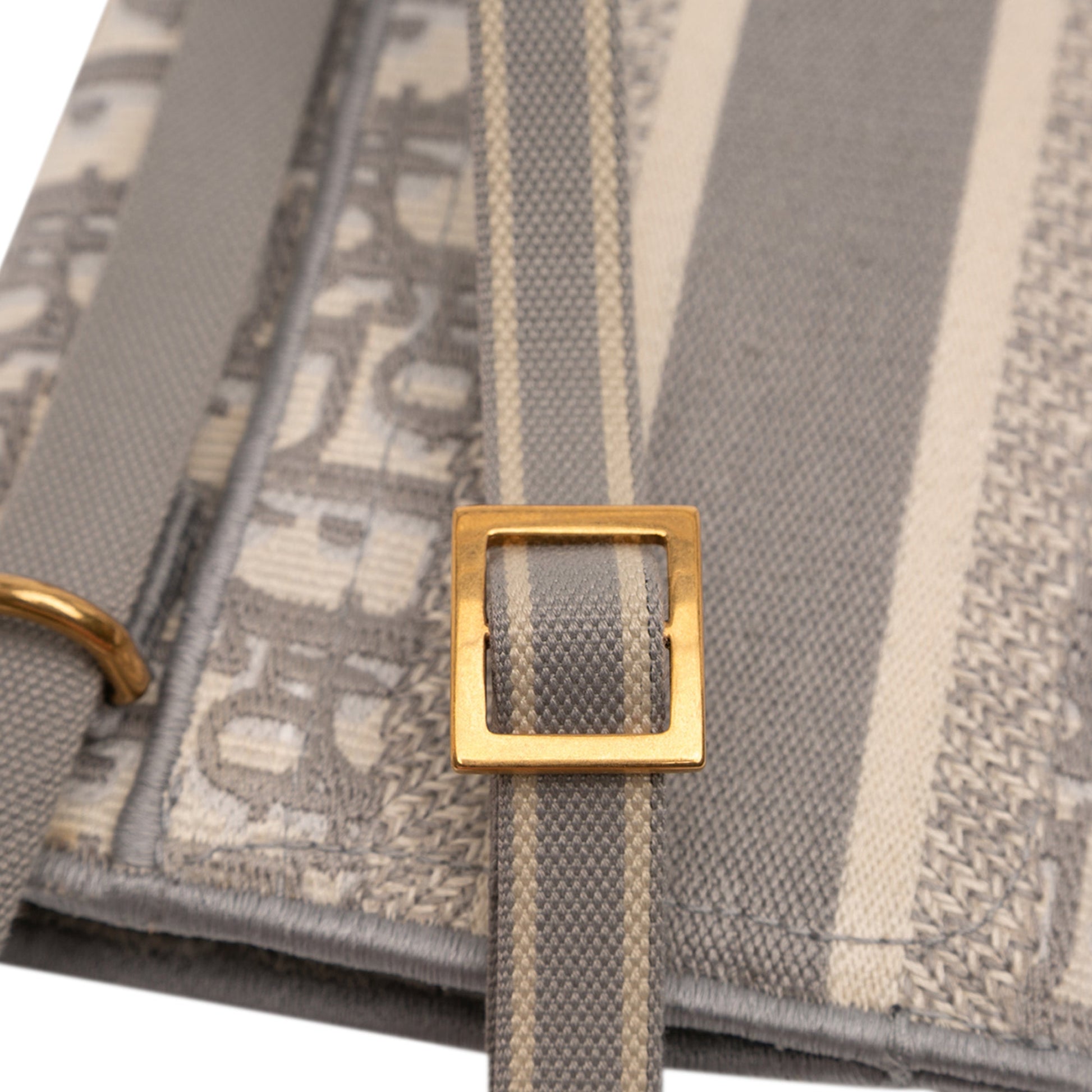 Oblique Canvas Embroidered Saddle Belt Bag