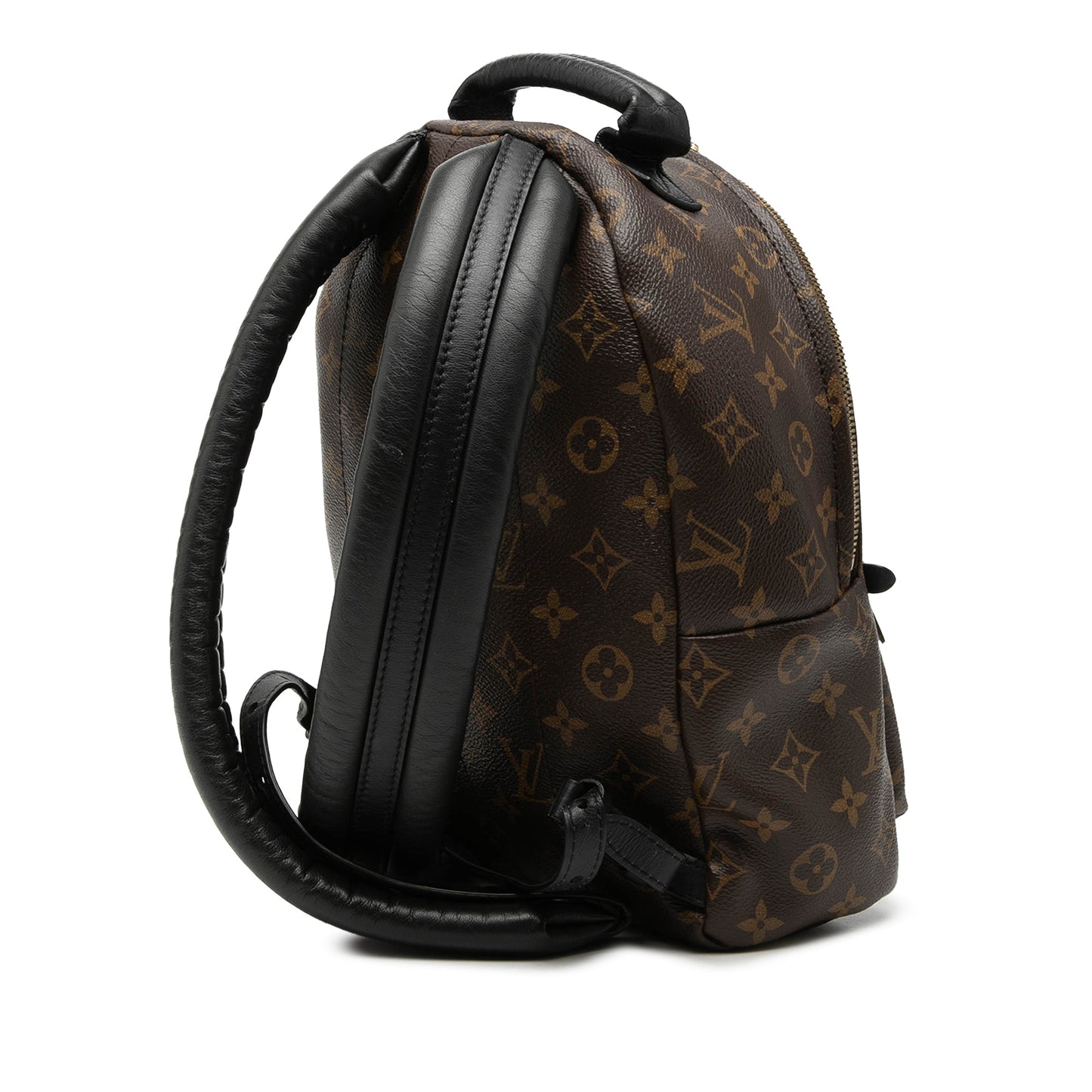 Louis Vuitton Monogram Palm Springs PM